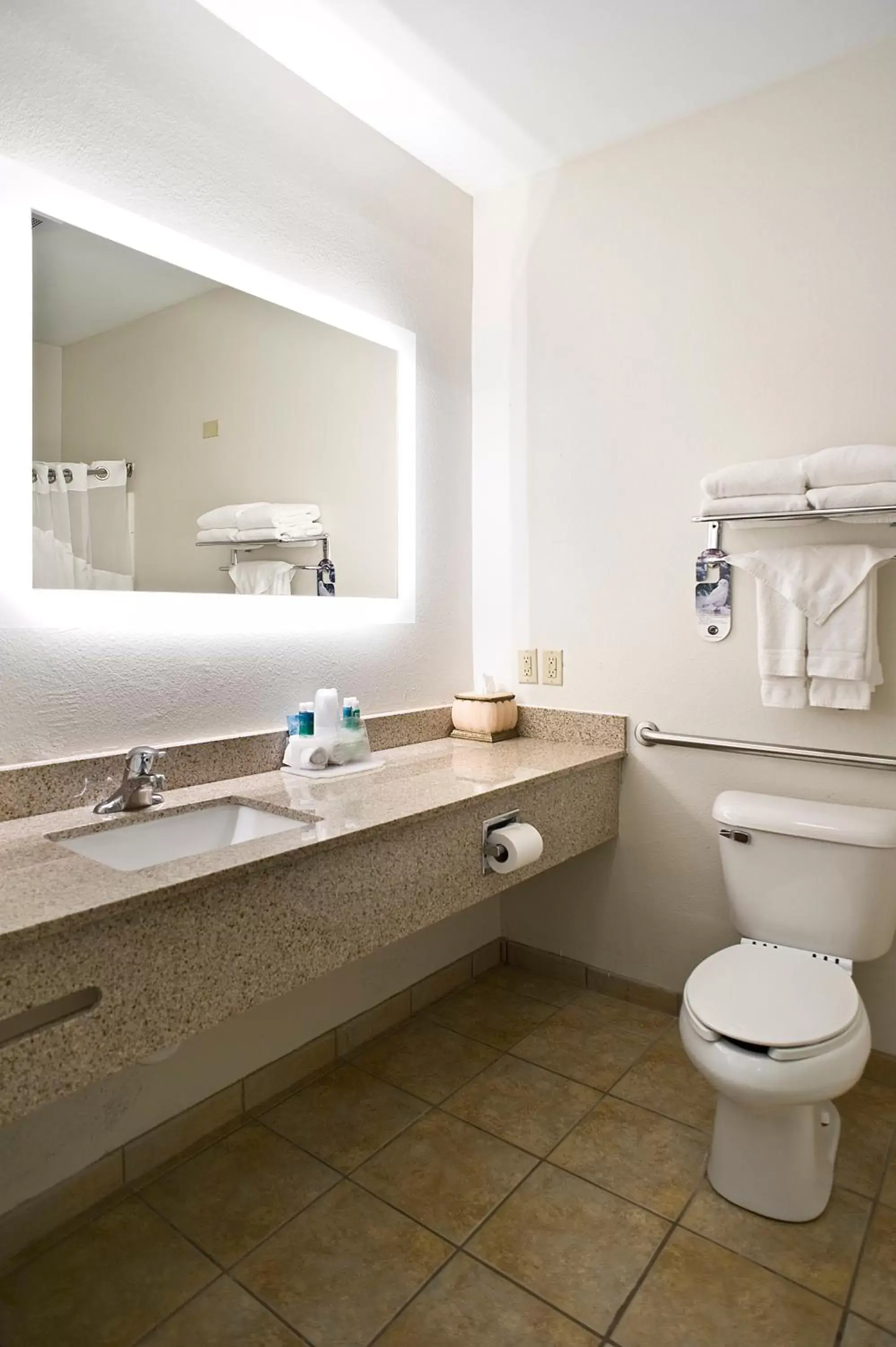 Bathroom in Holiday Inn Express & Suites Vermillion, an IHG Hotel