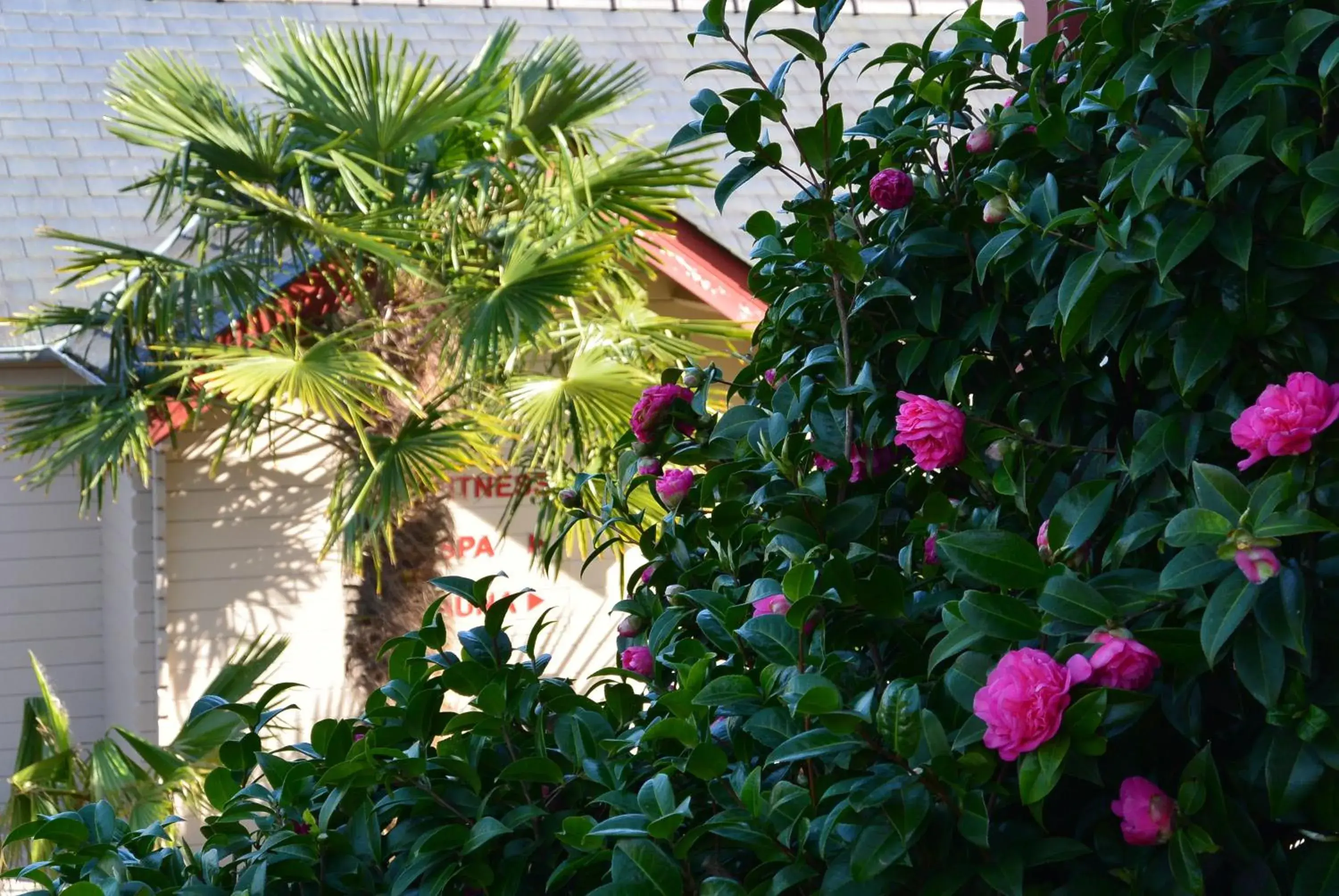 Garden in Hotel Nuit Et Jour - La Maison de Lucile