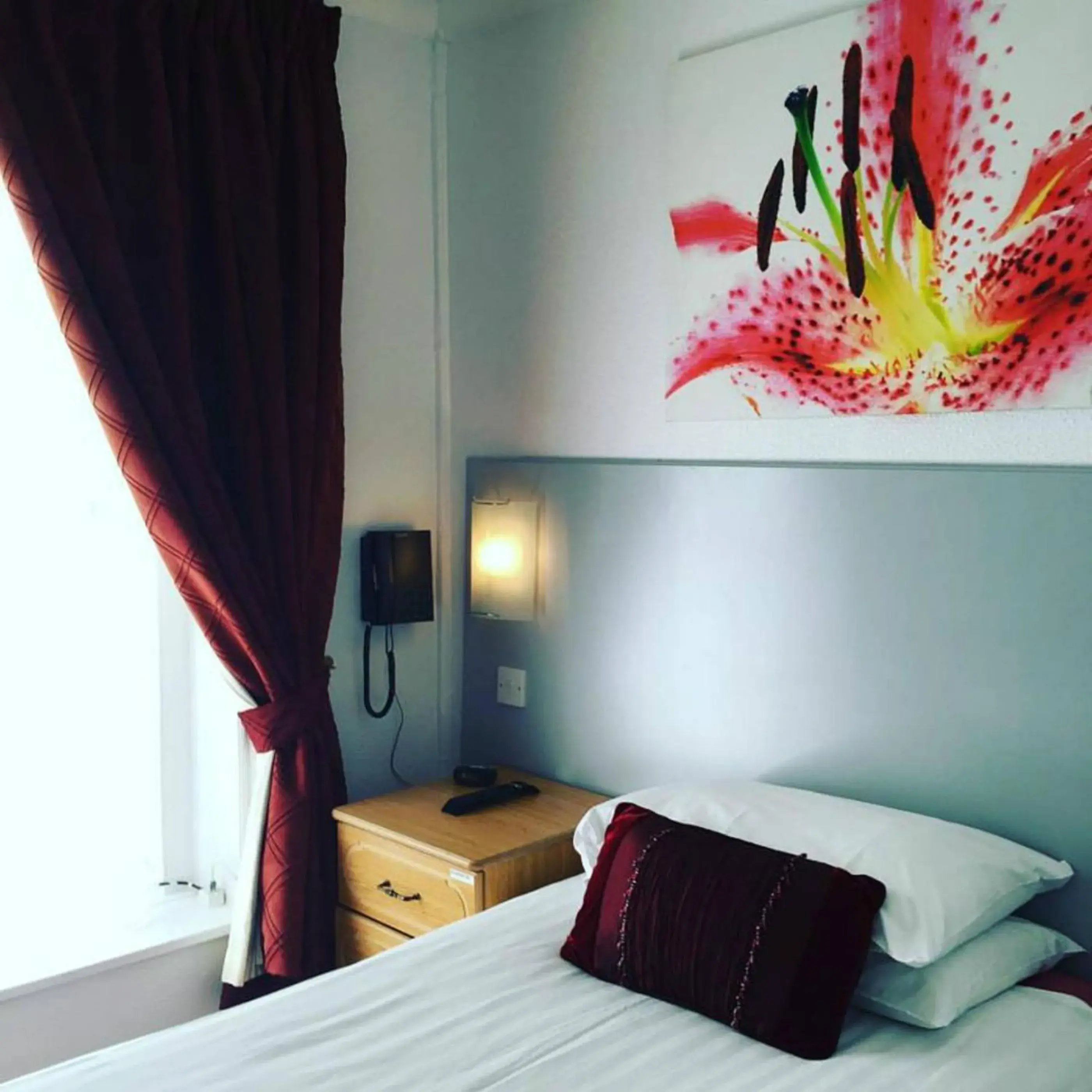 Single Room in Harrow Lodge Hotel