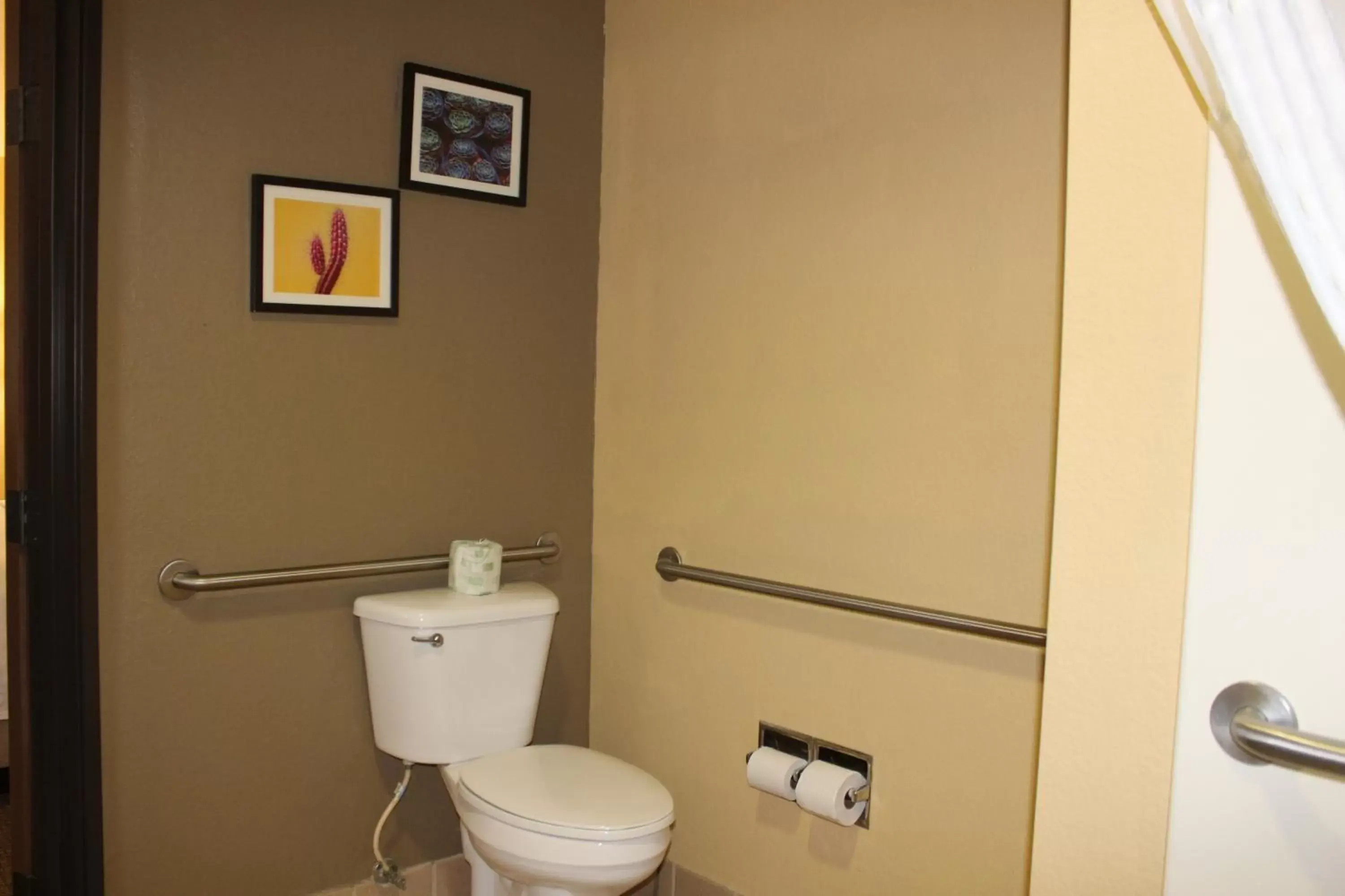Toilet, Bathroom in Comfort Inn Green Valley I-19