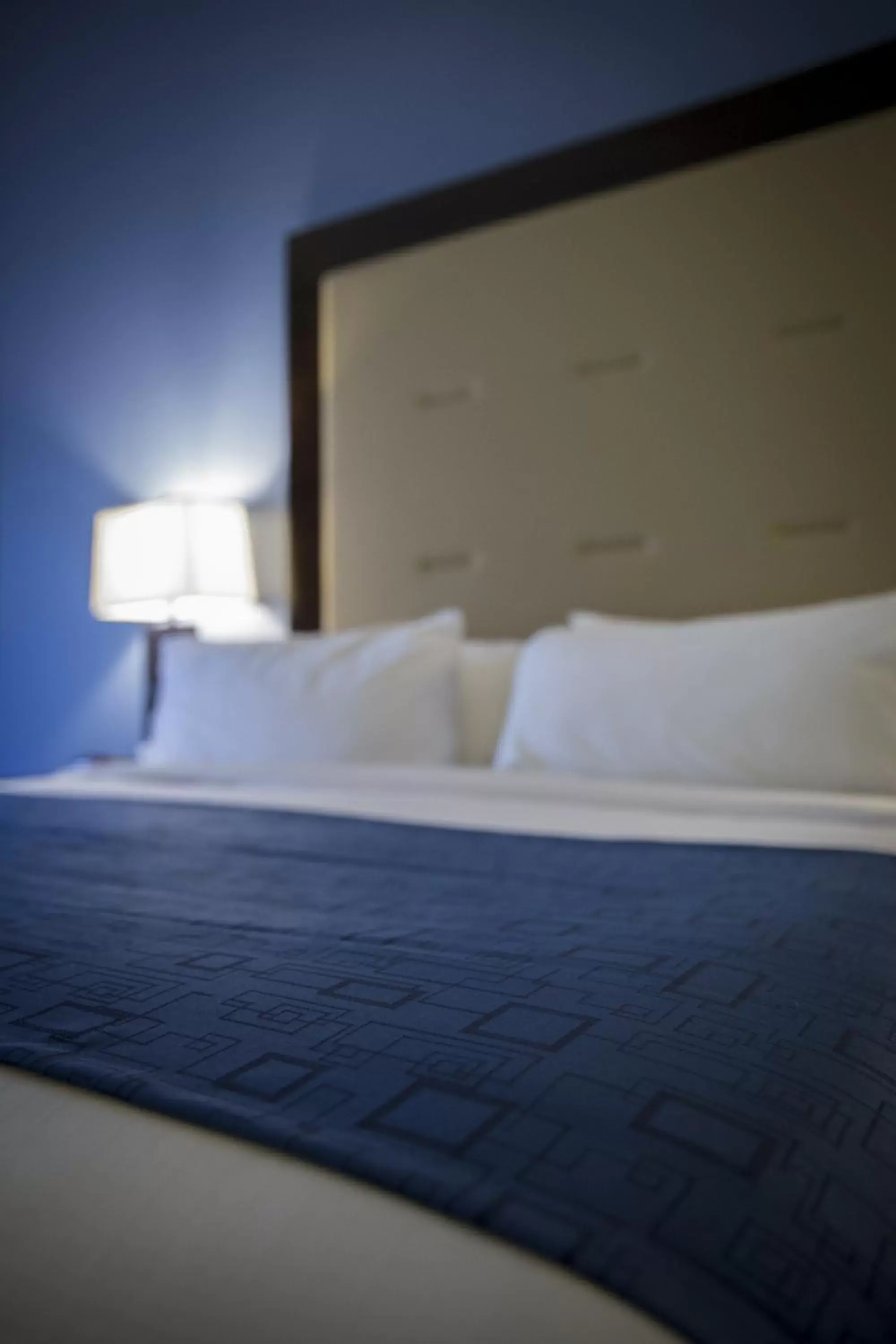 Bed in Holiday Inn Express and Suites Edwardsville, an IHG Hotel