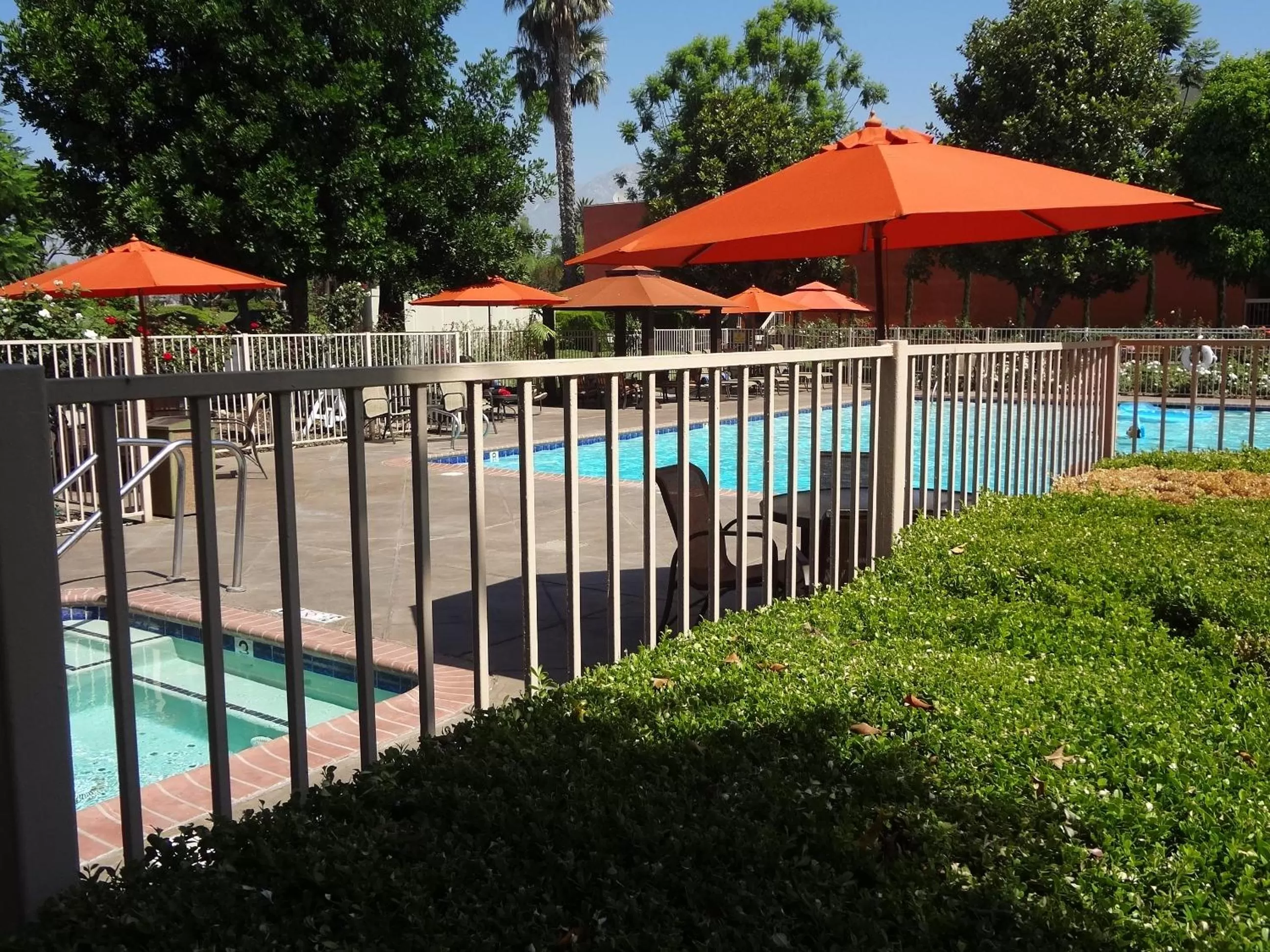 Swimming pool in Ontario Airport Hotel & Conference Center