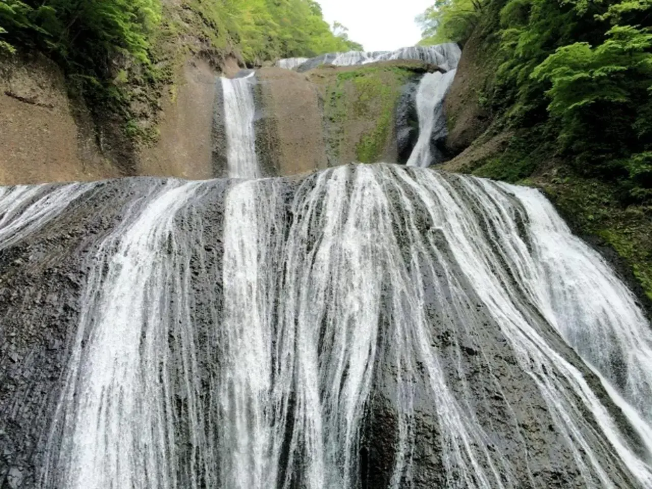 Natural Landscape in Smile Hotel Mito