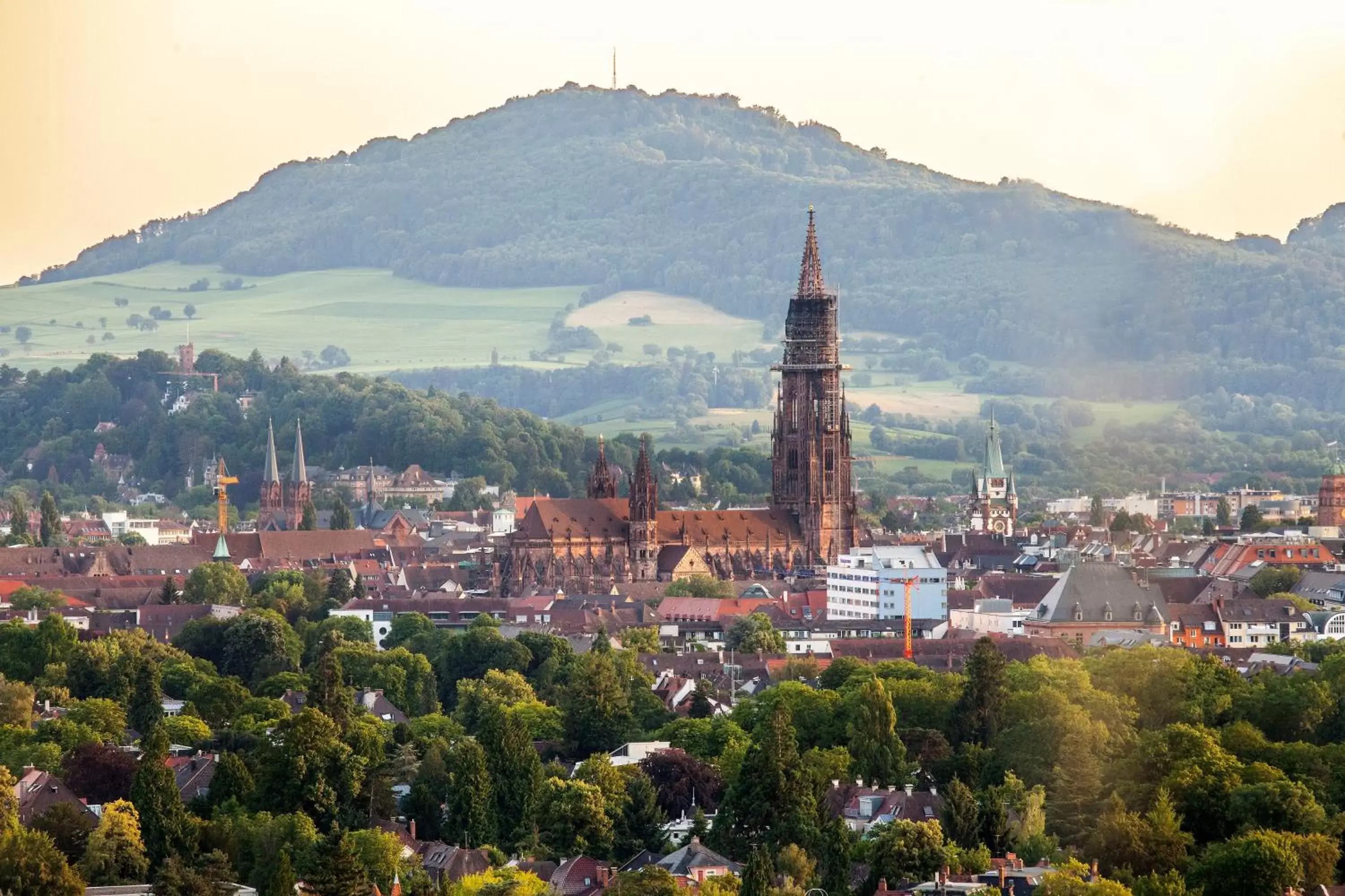 Day in Mercure Hotel Panorama Freiburg