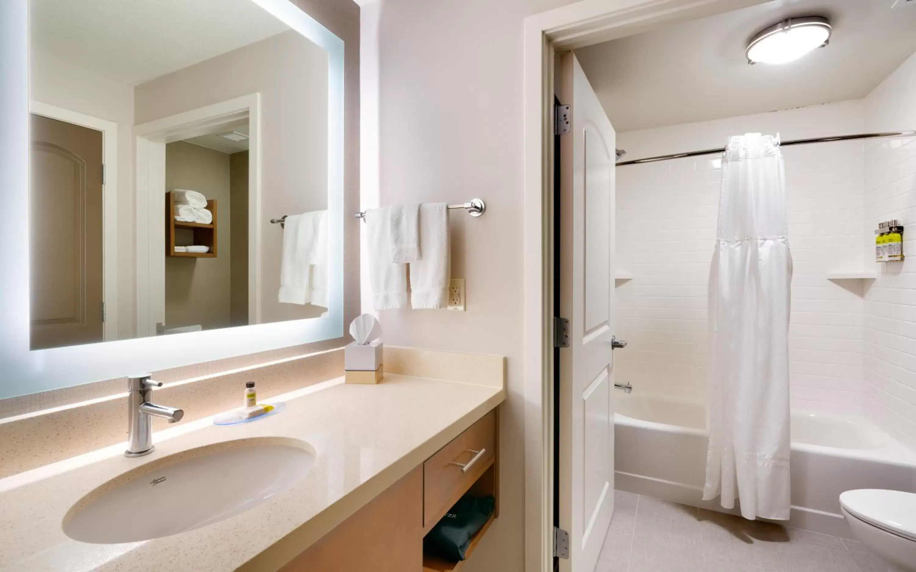 Bathroom in Staybridge Suites - Gainesville I-75, an IHG Hotel