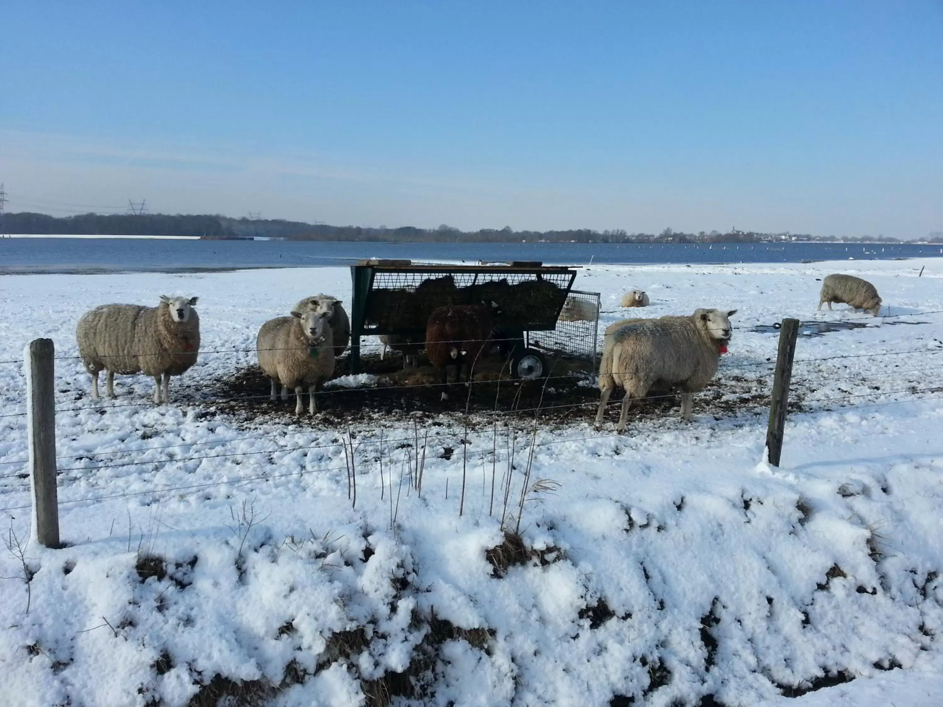 Natural landscape, Winter in B&B de Rivierduin