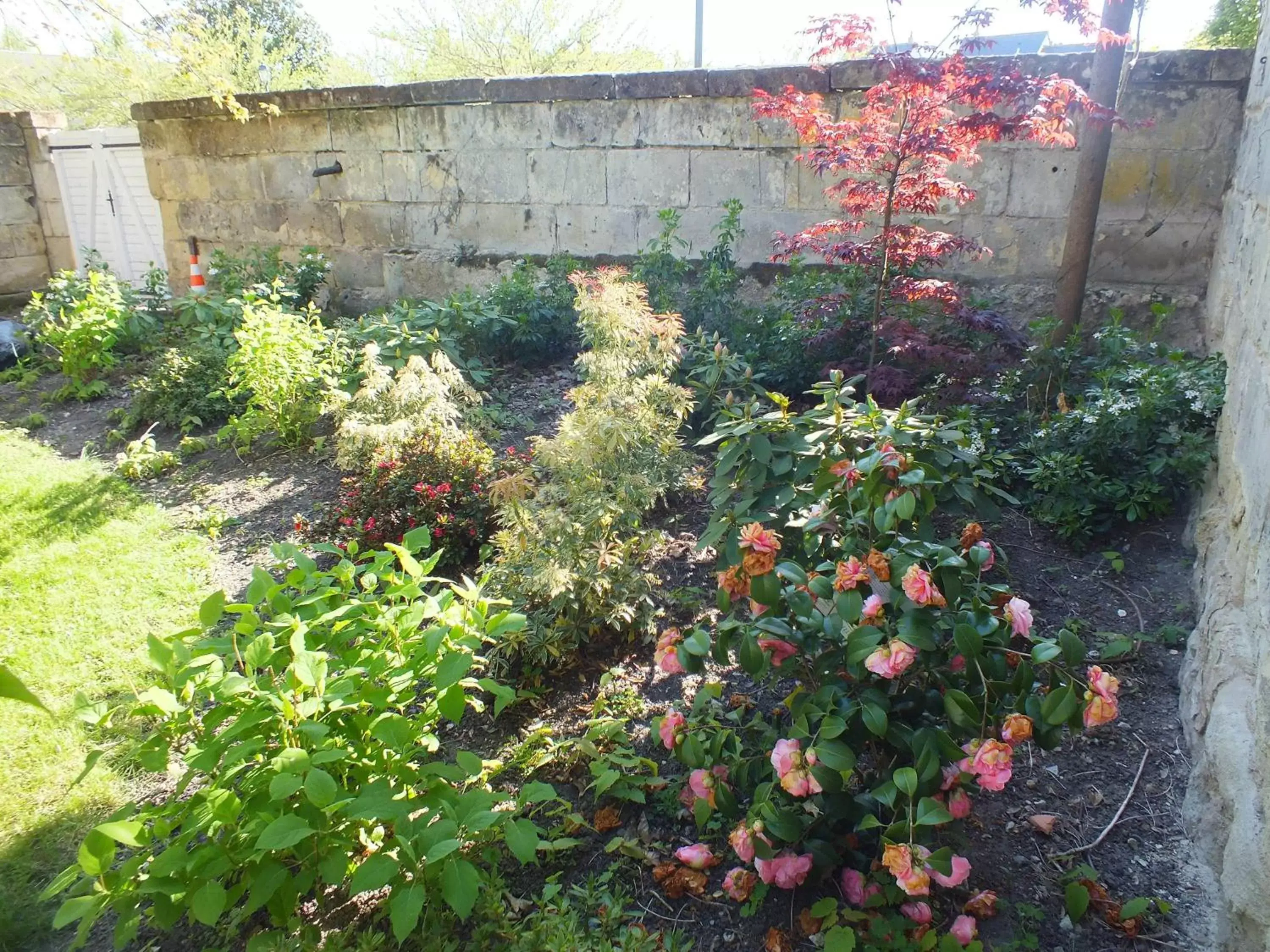 Garden in A la Fleur de Lys