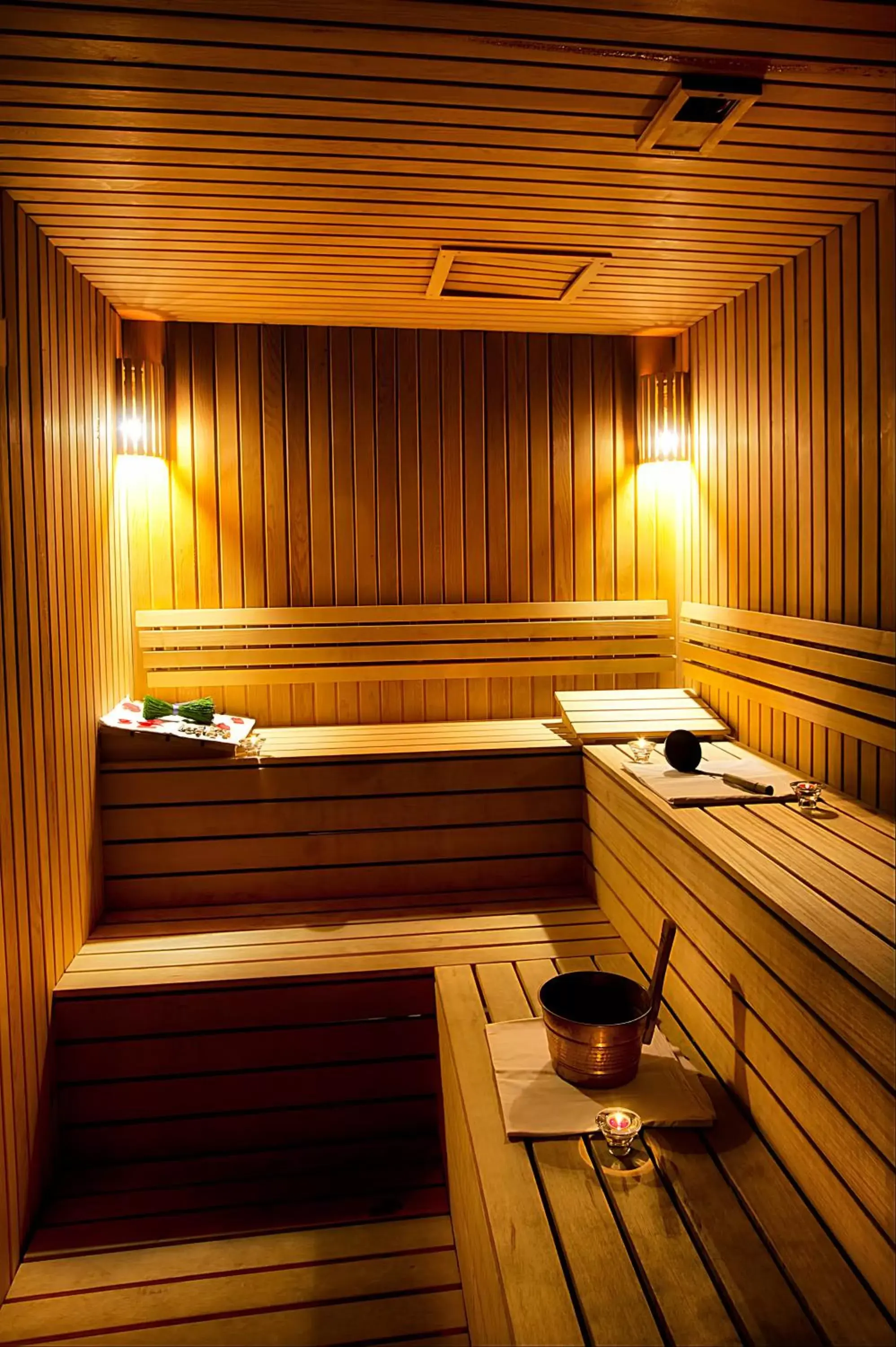 Sauna in Parkhouse Hotel & Spa