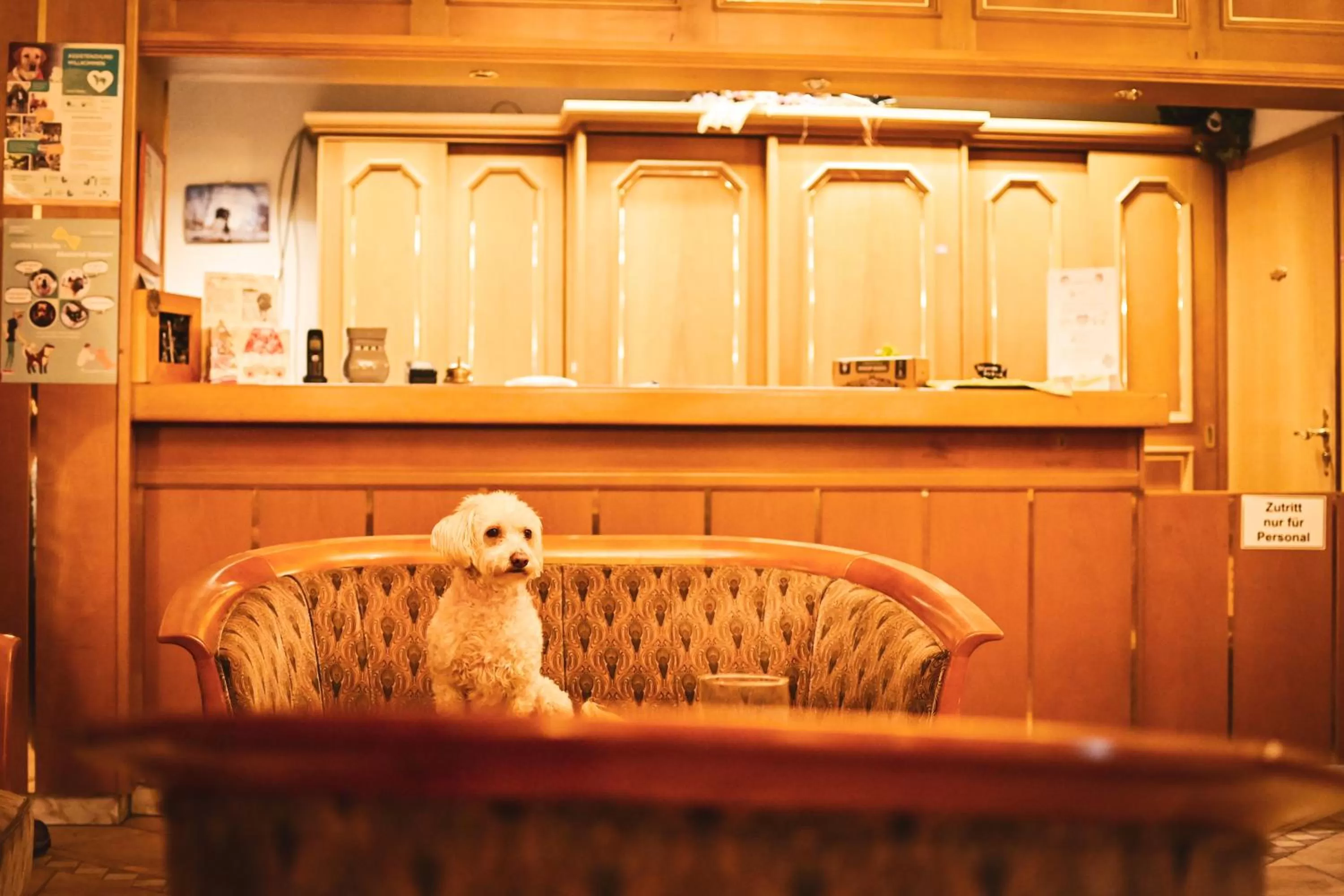 Lobby or reception in Berghotel Steiger - Erzgebirge