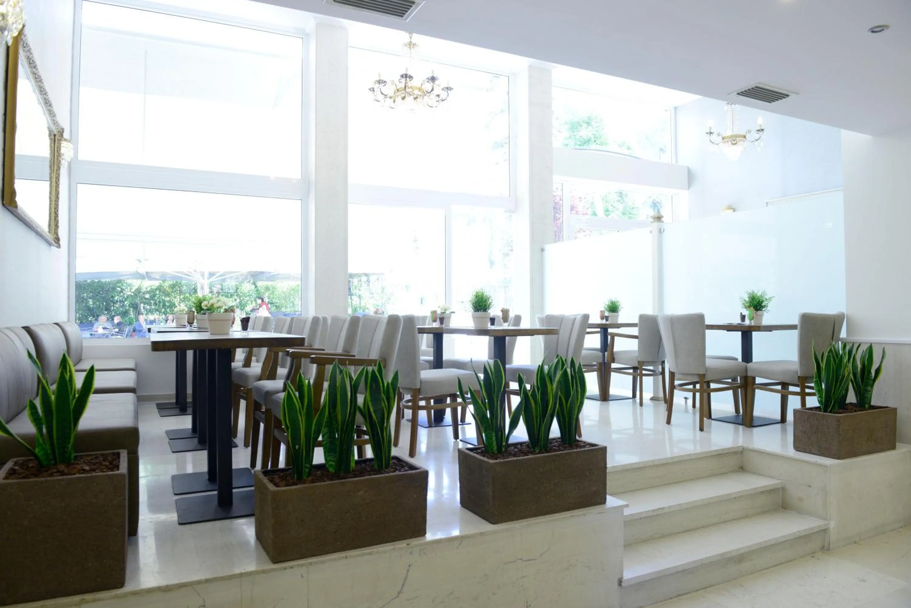 Restaurant/places to eat in Phidias Hotel