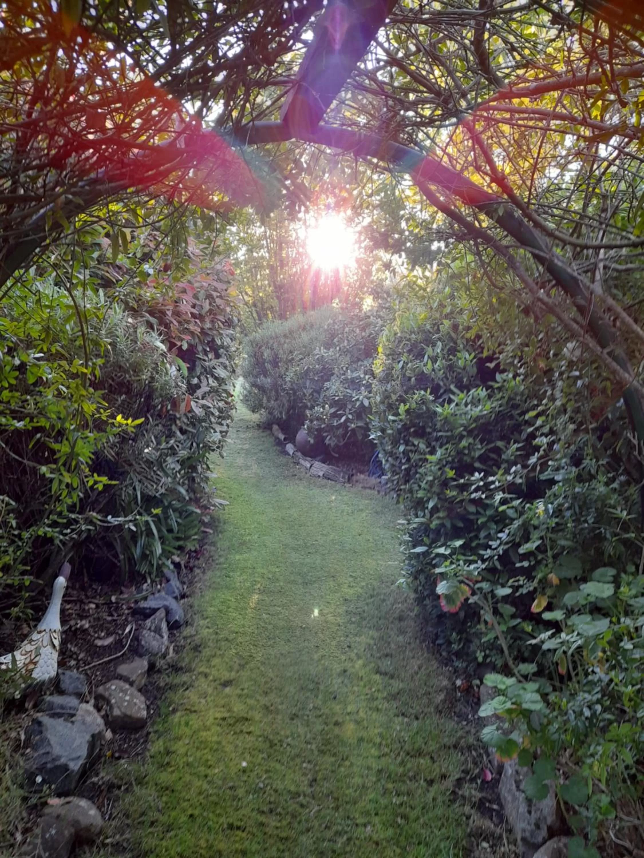 Hillside Bed and Breakfast