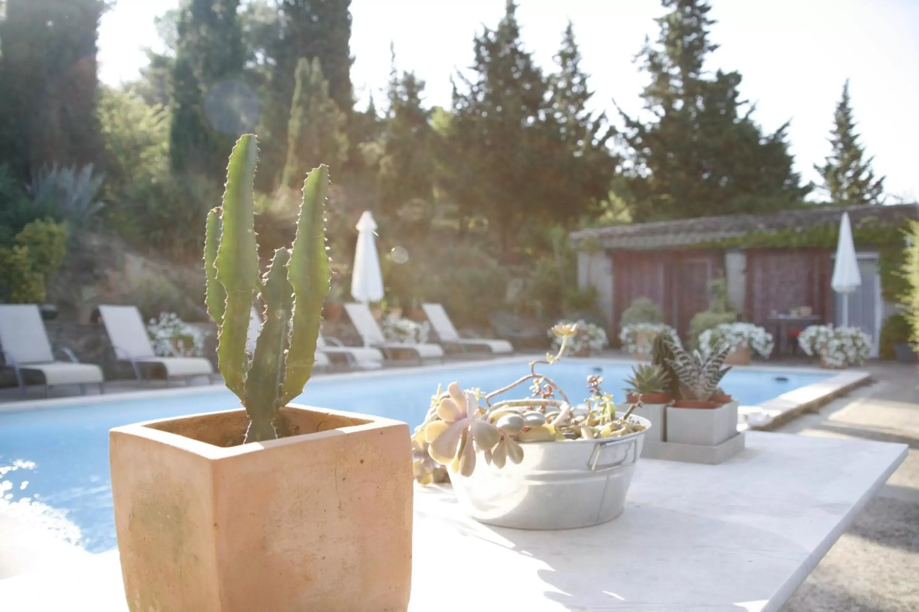 Pool view, Swimming Pool in La Maison sur la Colline