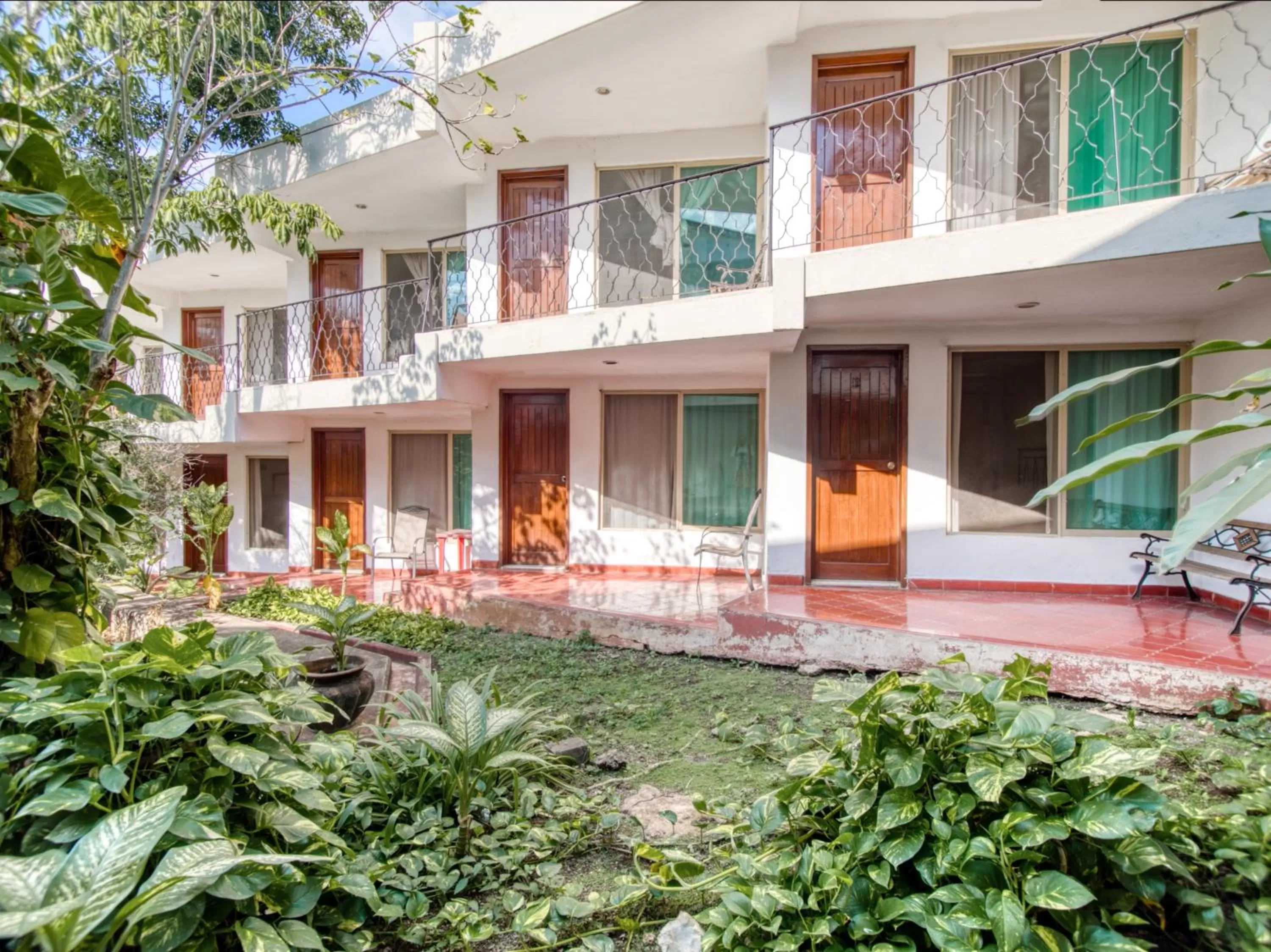 Garden, Property Building in Hotel San Carlos