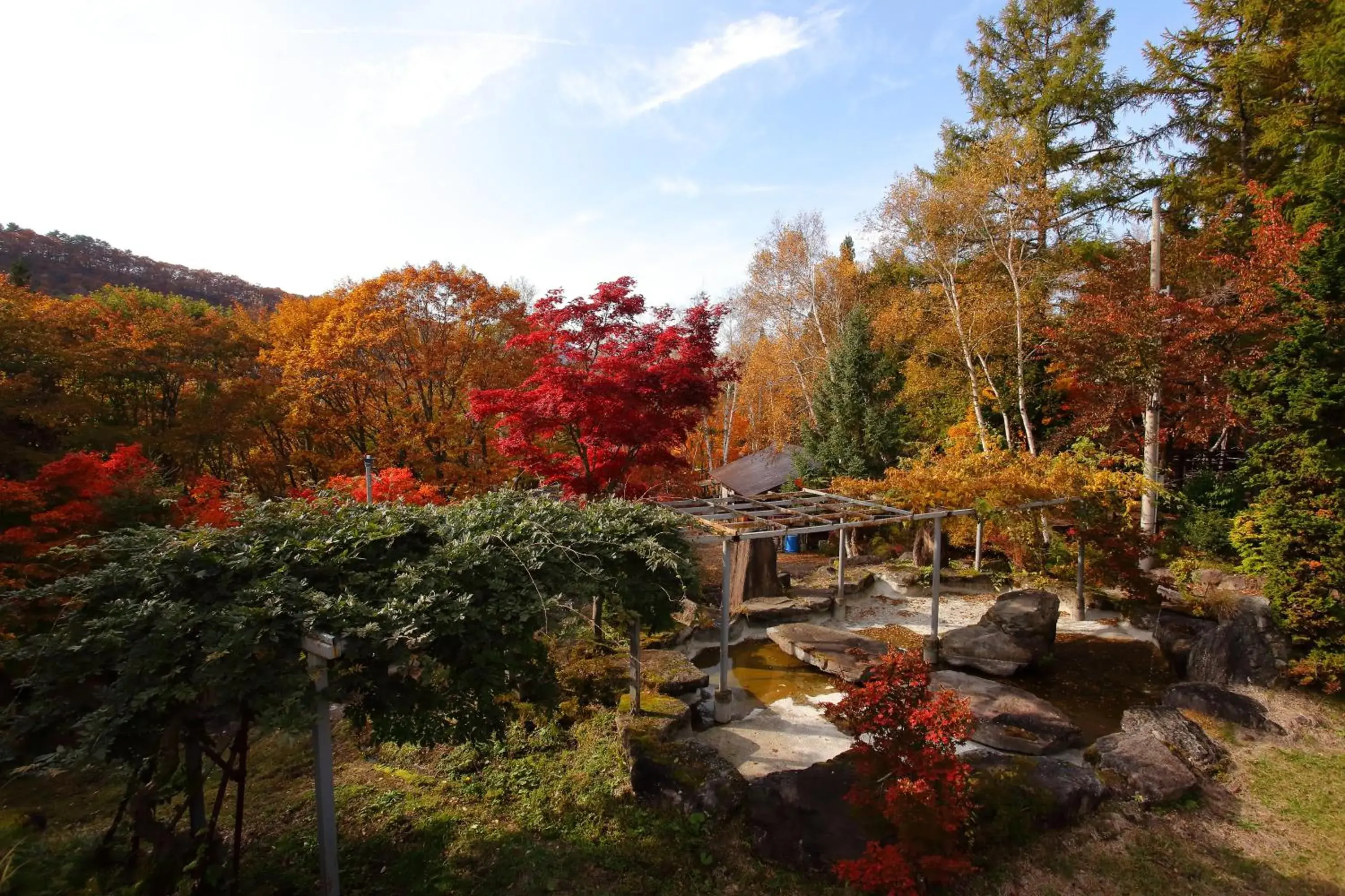 Neighbourhood in Hotel Tagawa