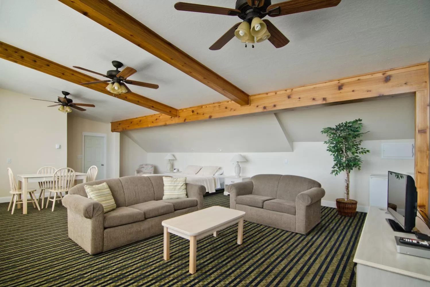 Communal lounge/ TV room in Pacific Reef Hotel & Light Show