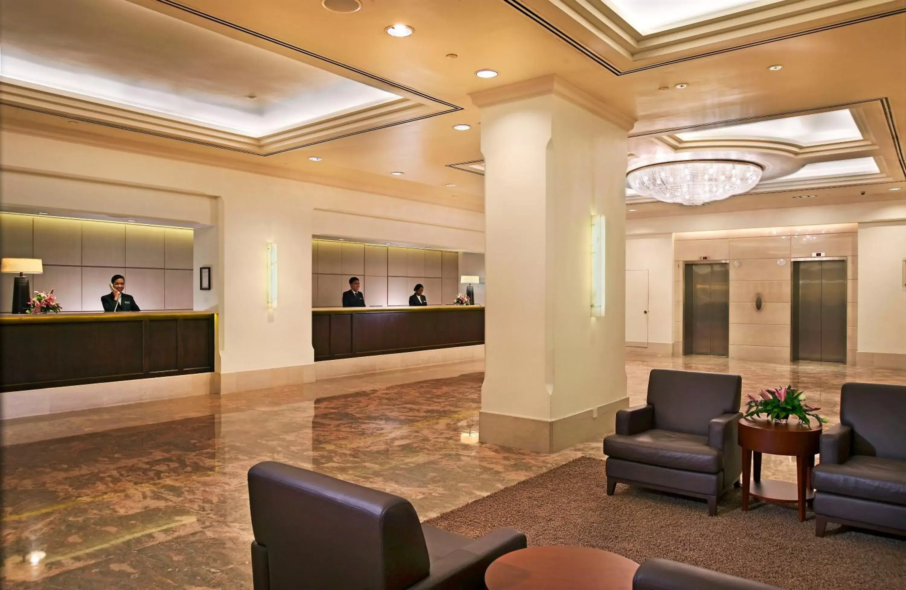 Lobby or reception, Lobby/Reception in York Hotel
