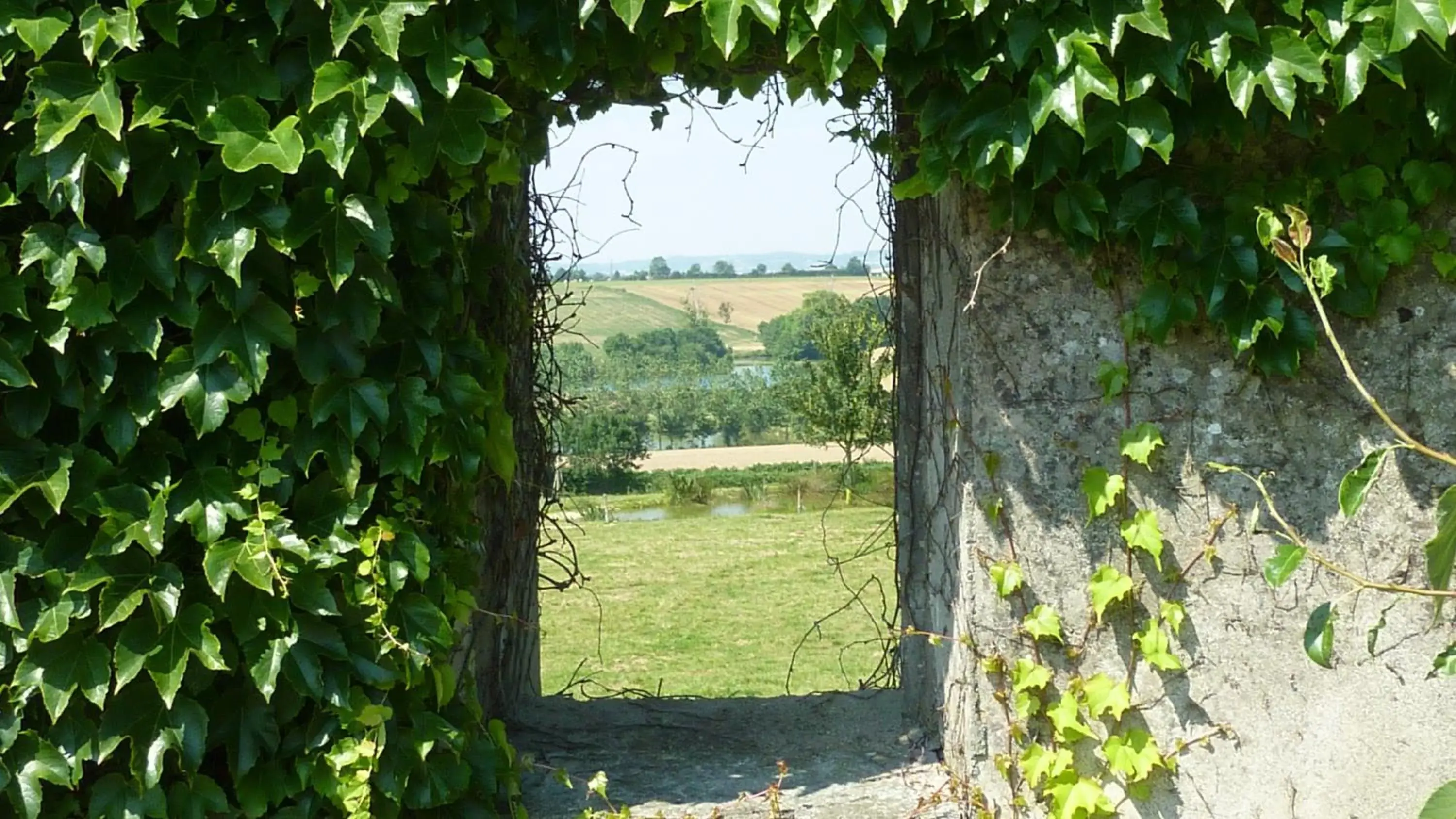 View (from property/room), Garden in La Boisnière