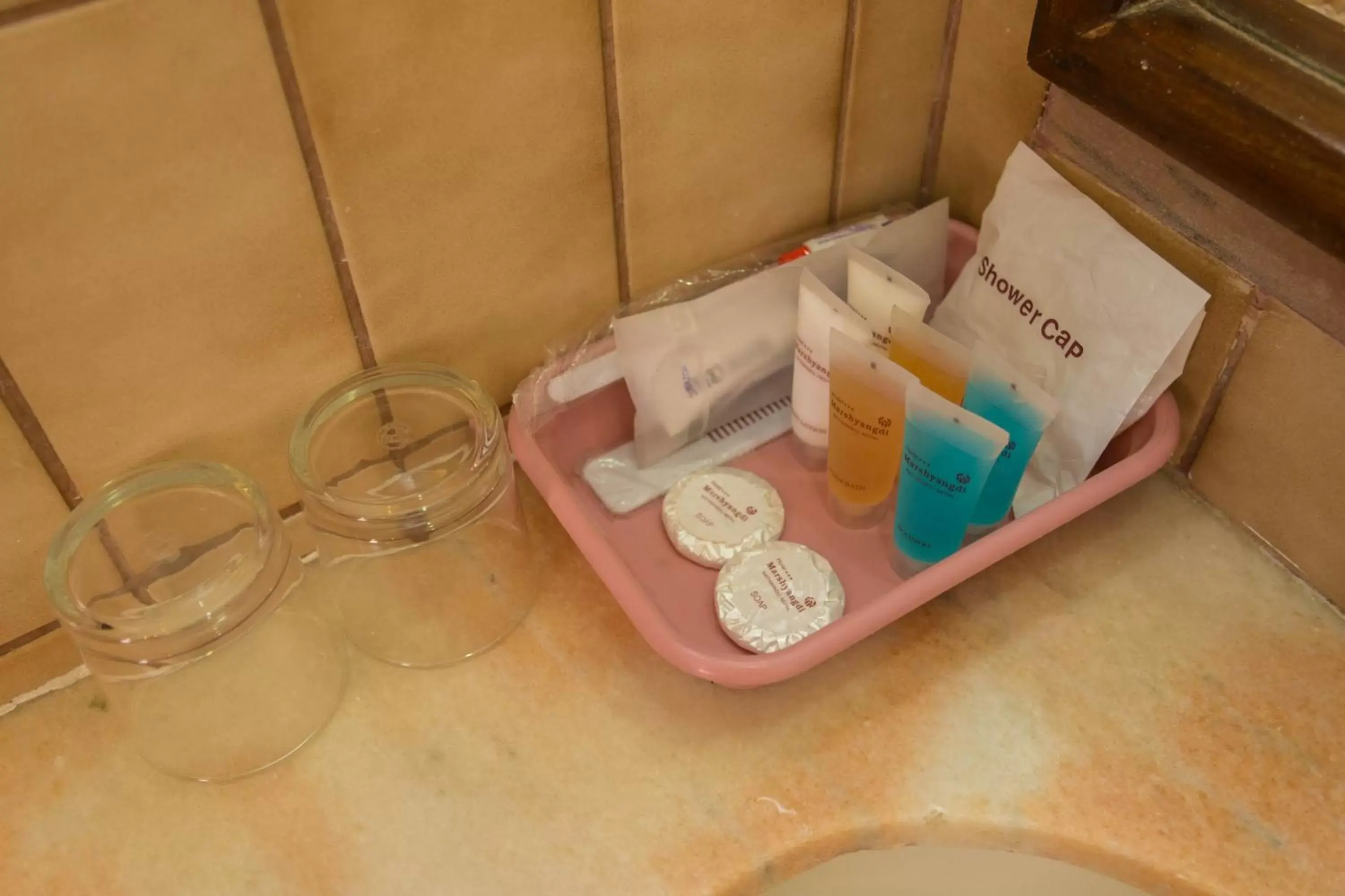 Bathroom in Hotel Marshyangdi