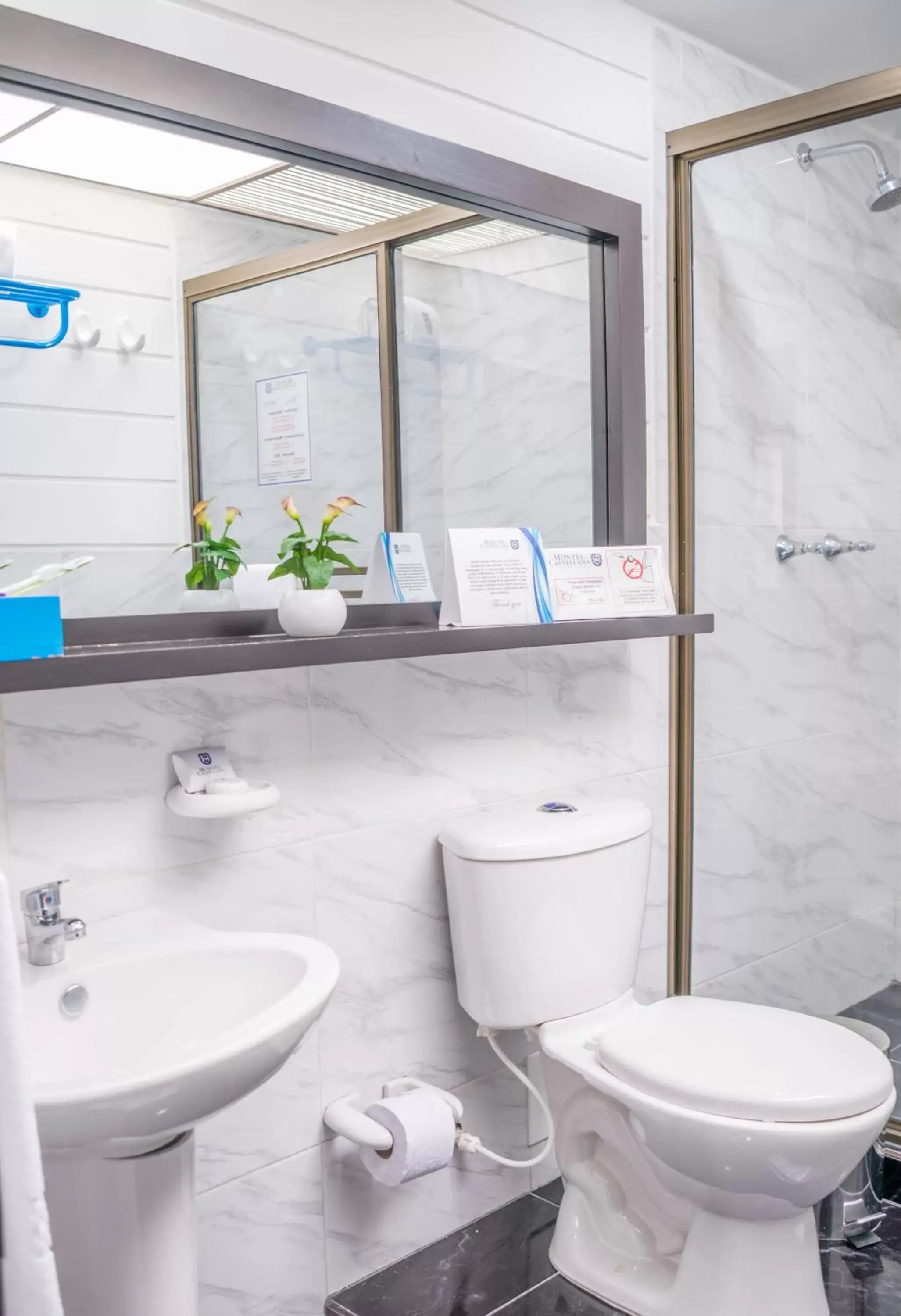 Bathroom in Hotel Montes De La Castellana