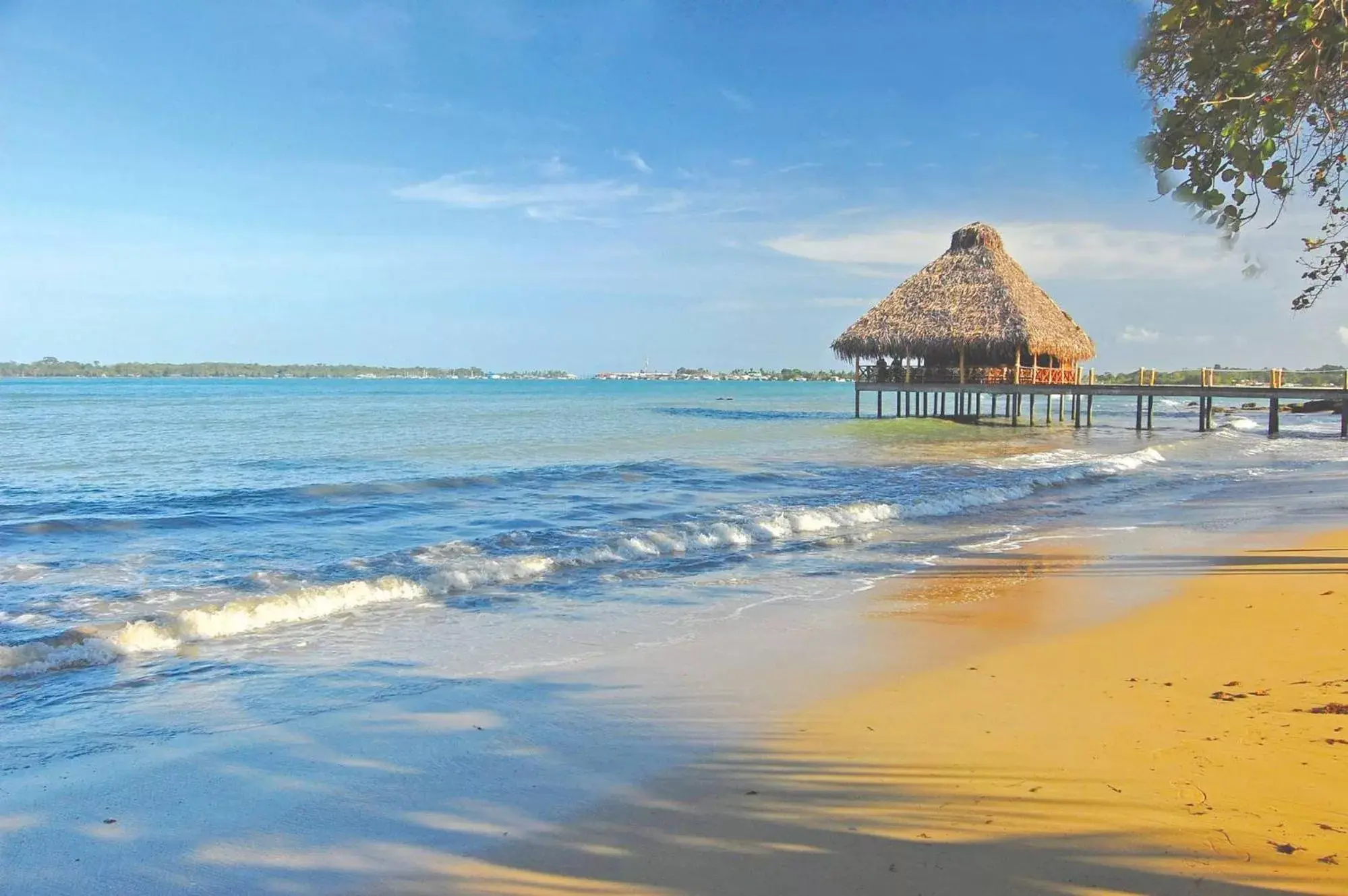 Beach in Playa Tortuga Hotel and Beach Resort