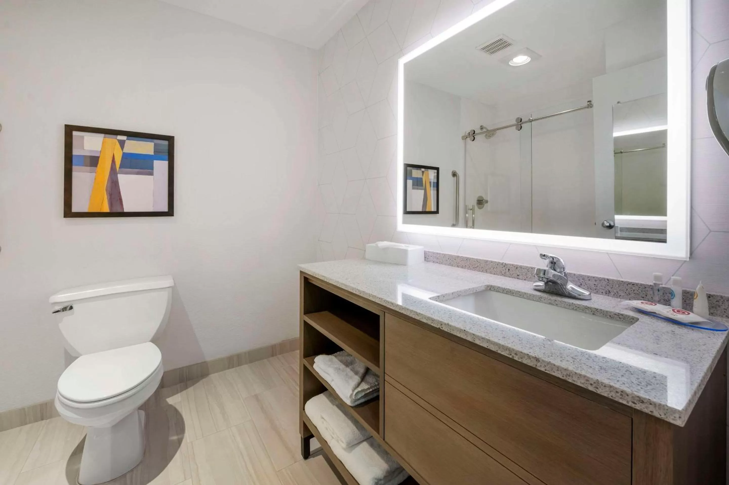 Toilet in Comfort Inn Edinburgh - Columbus