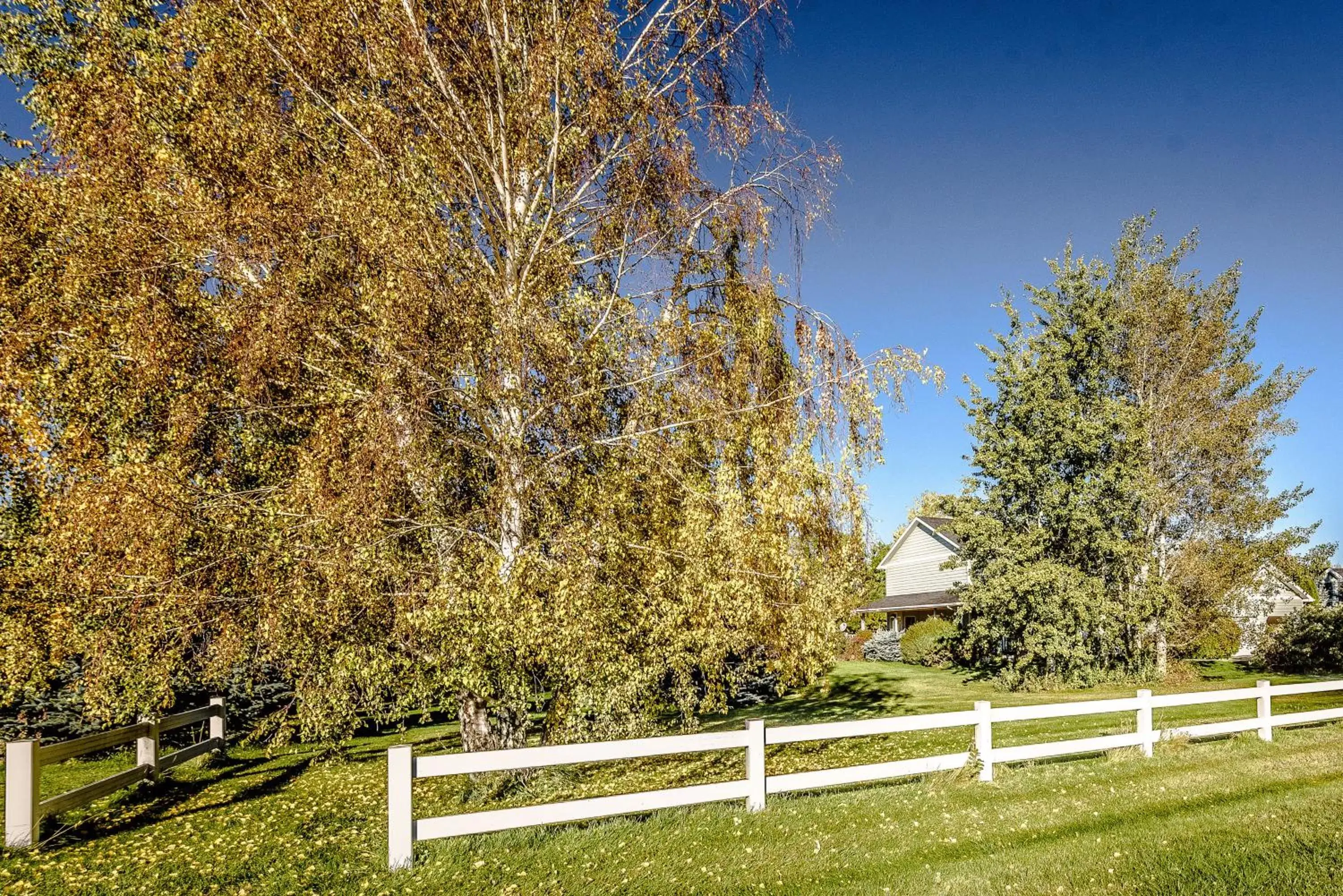 Garden in Fox Hollow Inn