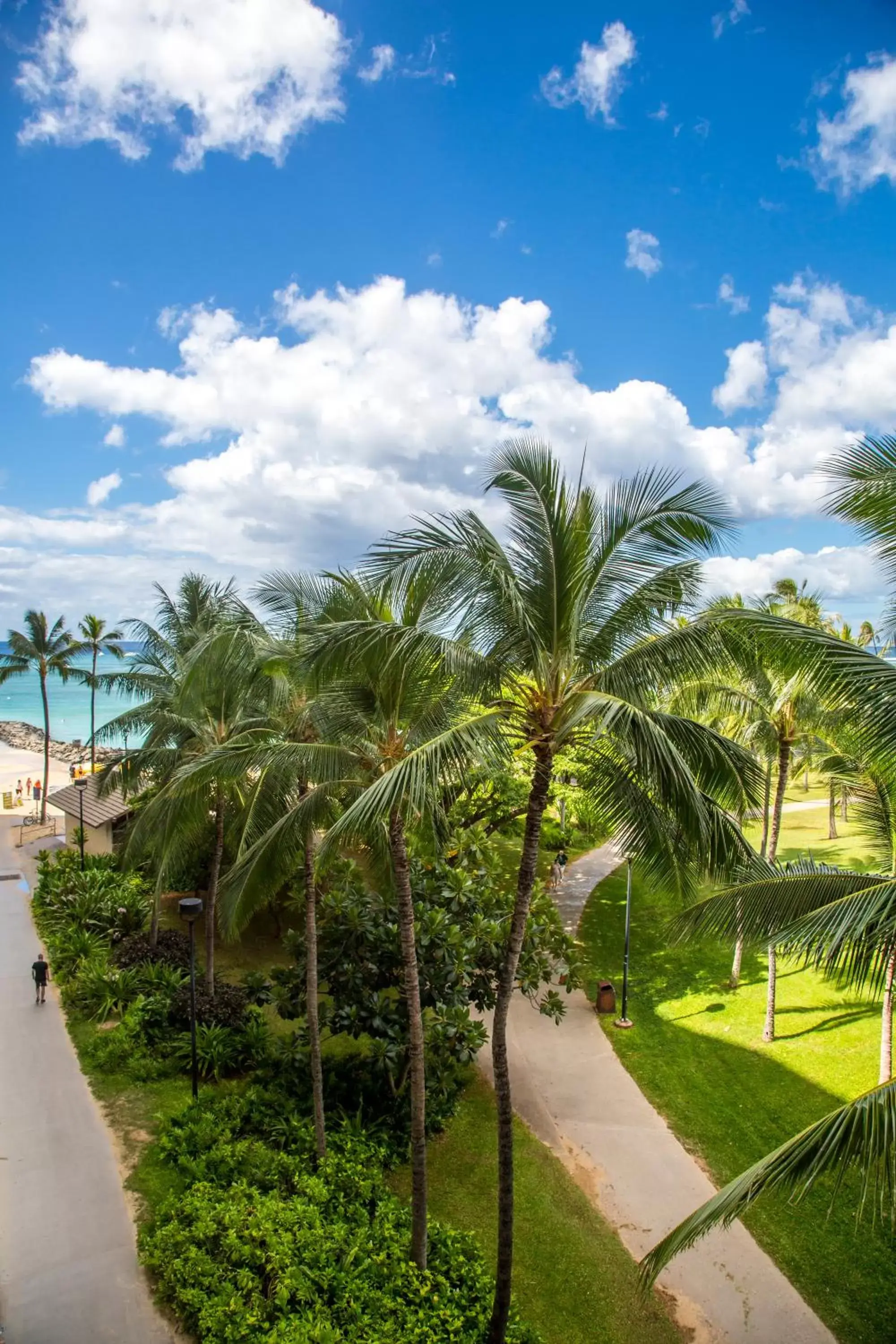 View (from property/room) in Castle Waikiki Shore Beachfront Condominiums