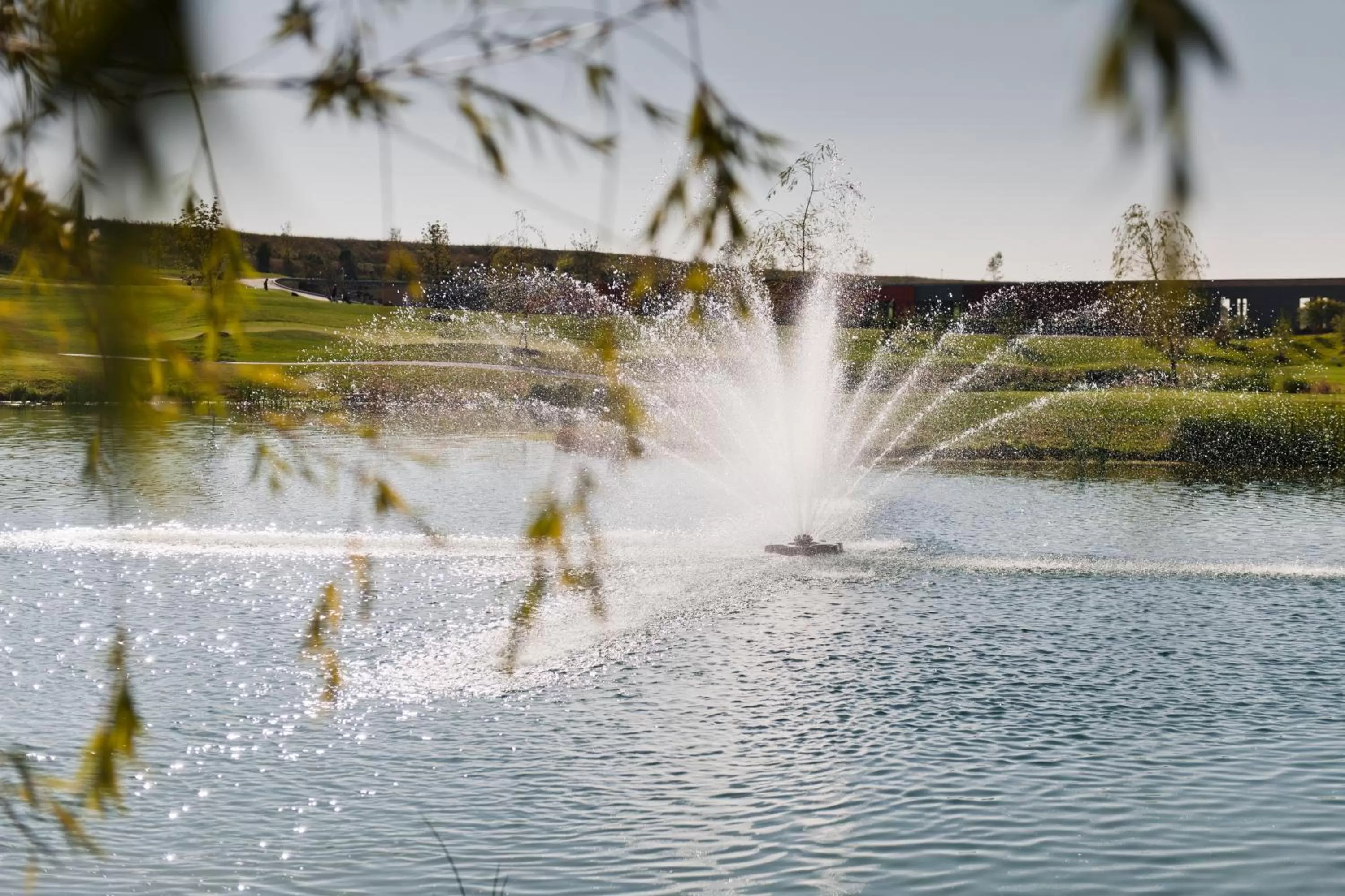 View (from property/room) in Hotel TheGreen