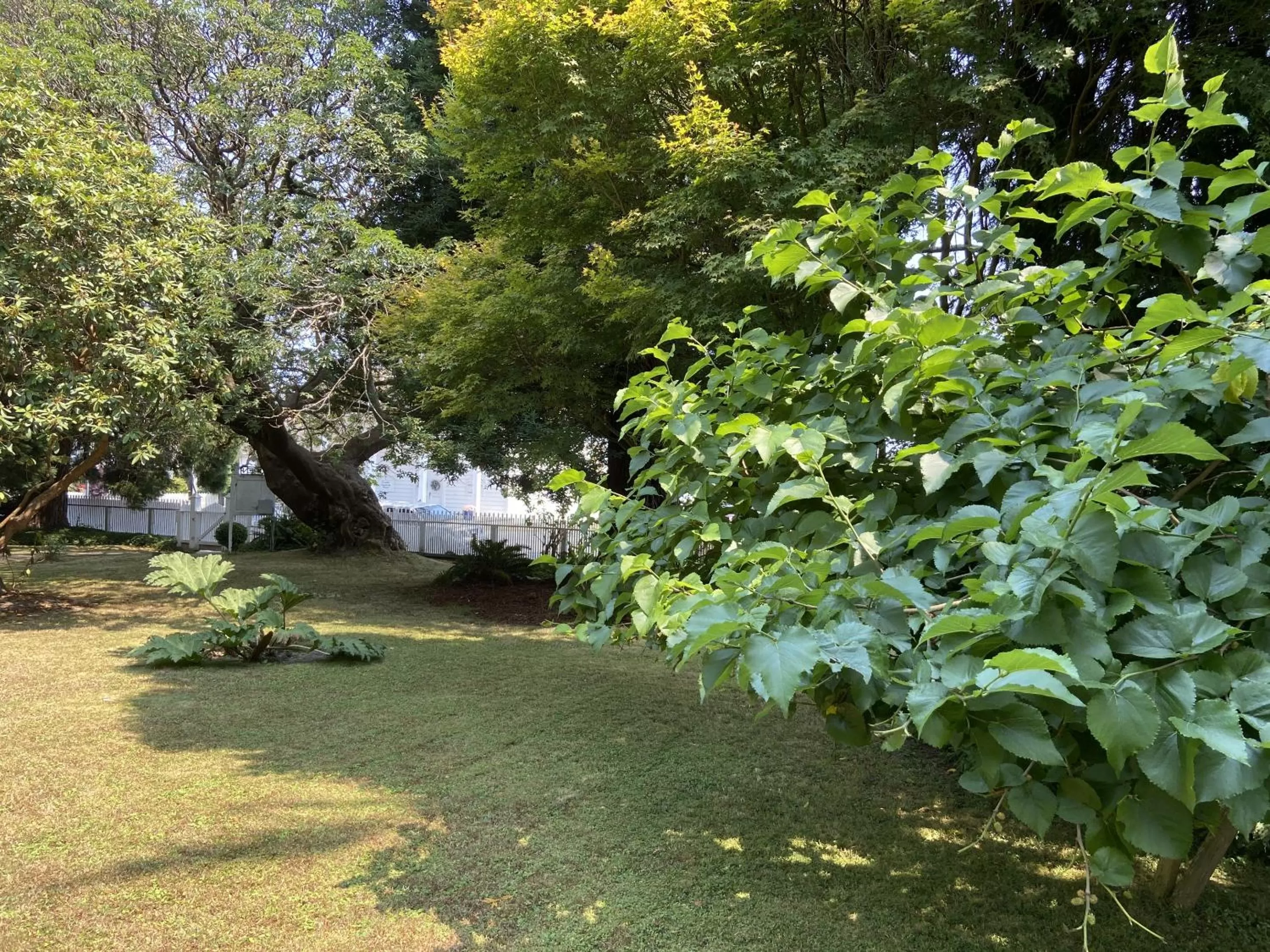 Garden in Shaw House Inn