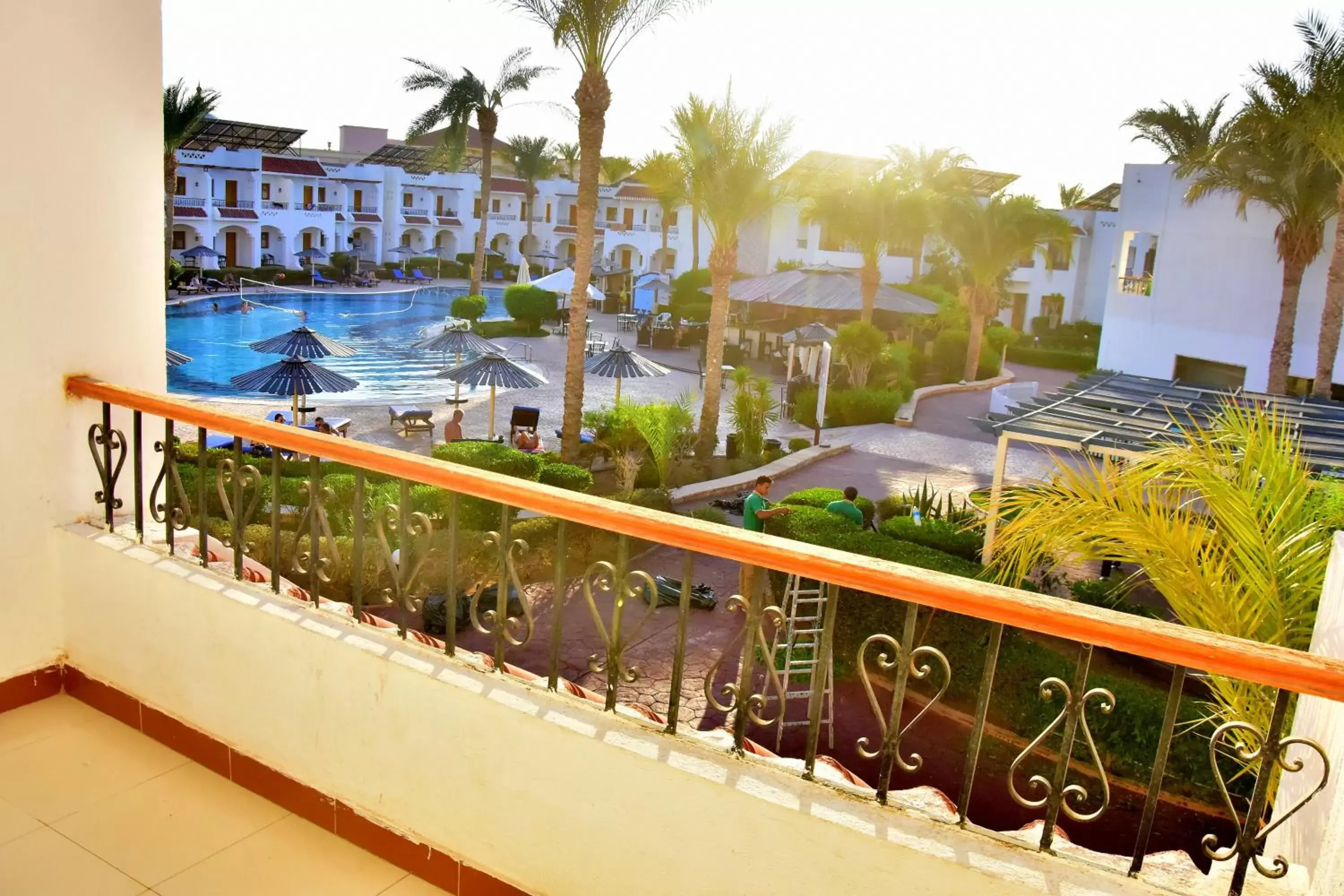 Balcony/Terrace in Dive Inn Resort