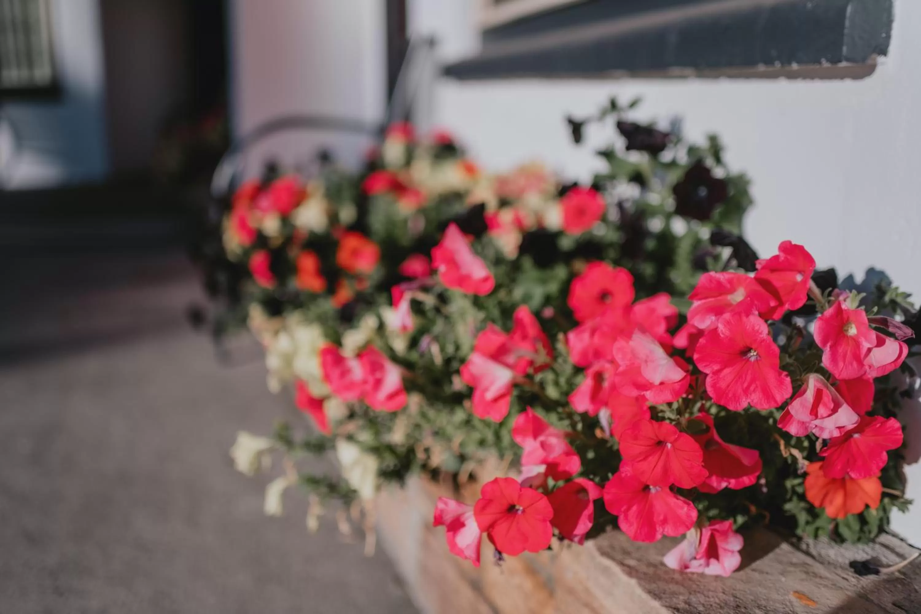 Property building in Sapphire Motel Midtown Bozeman