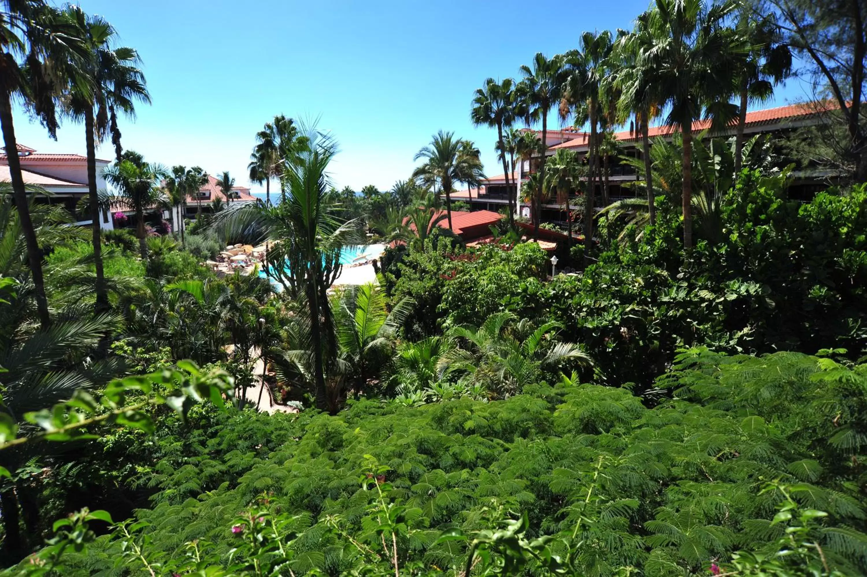 Garden in Hotel Parque Tropical