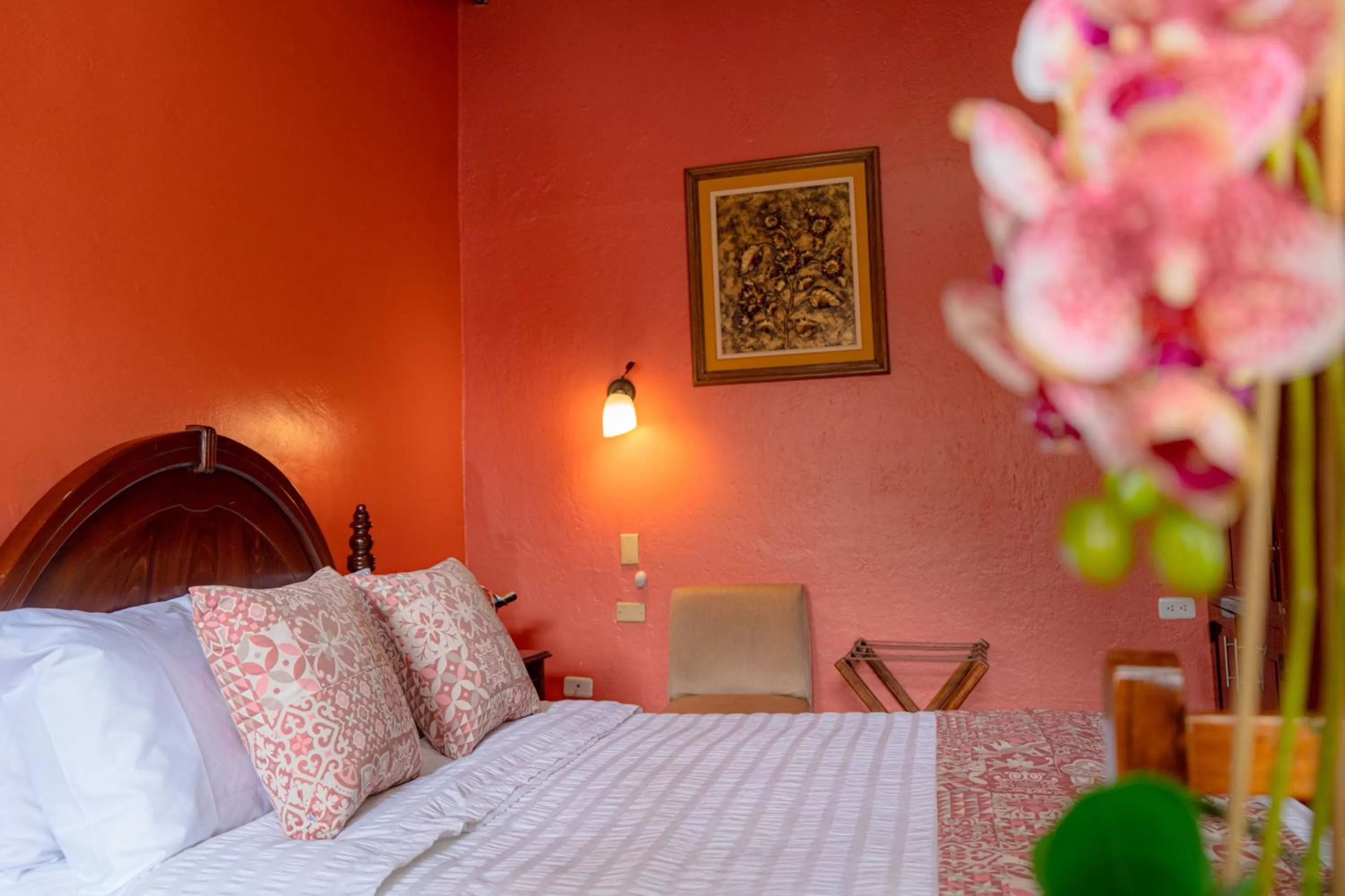 Bed in Rincón Familiar Hostel Boutique