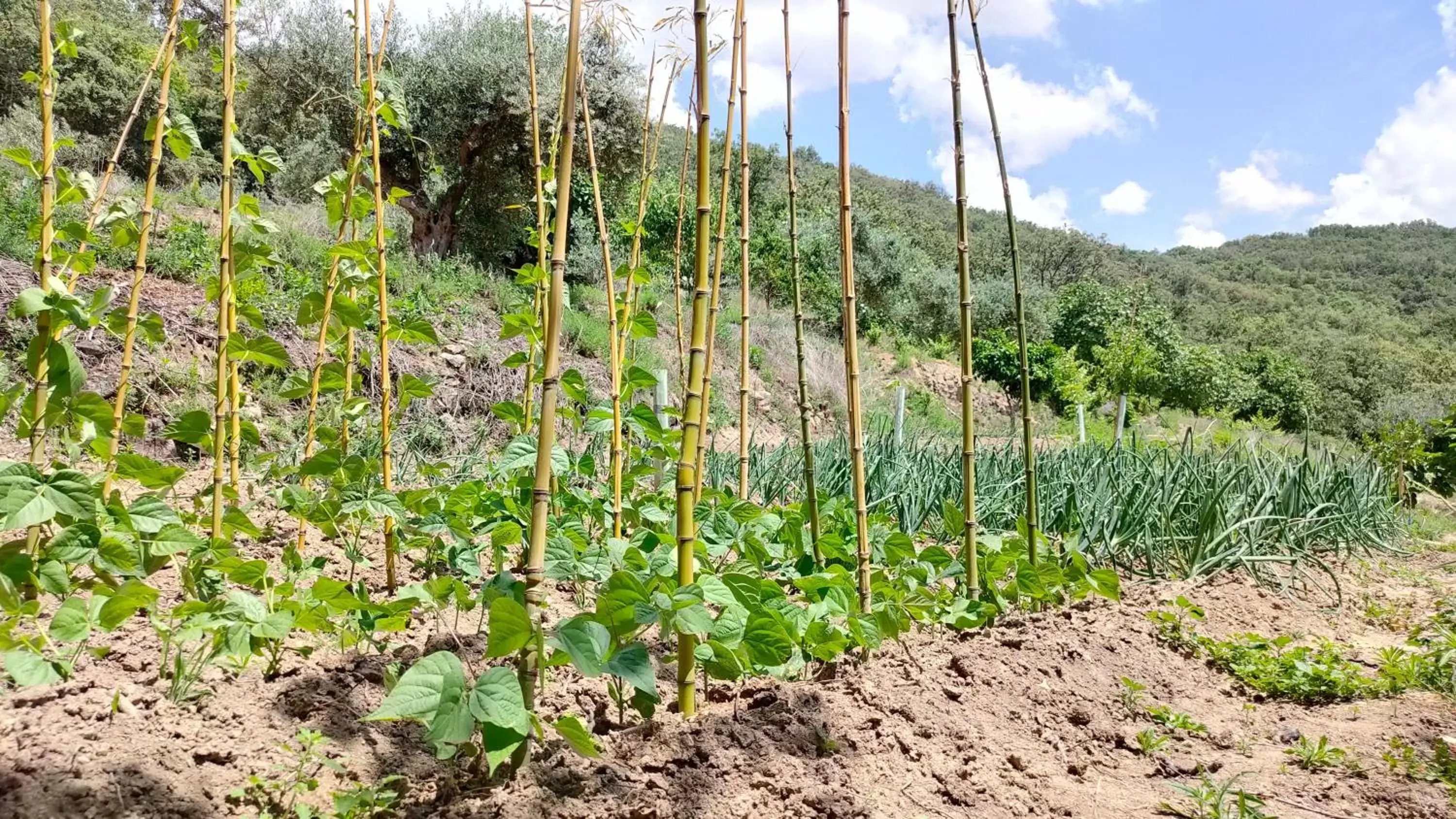 Natural Landscape in Hotel Rural San Giles