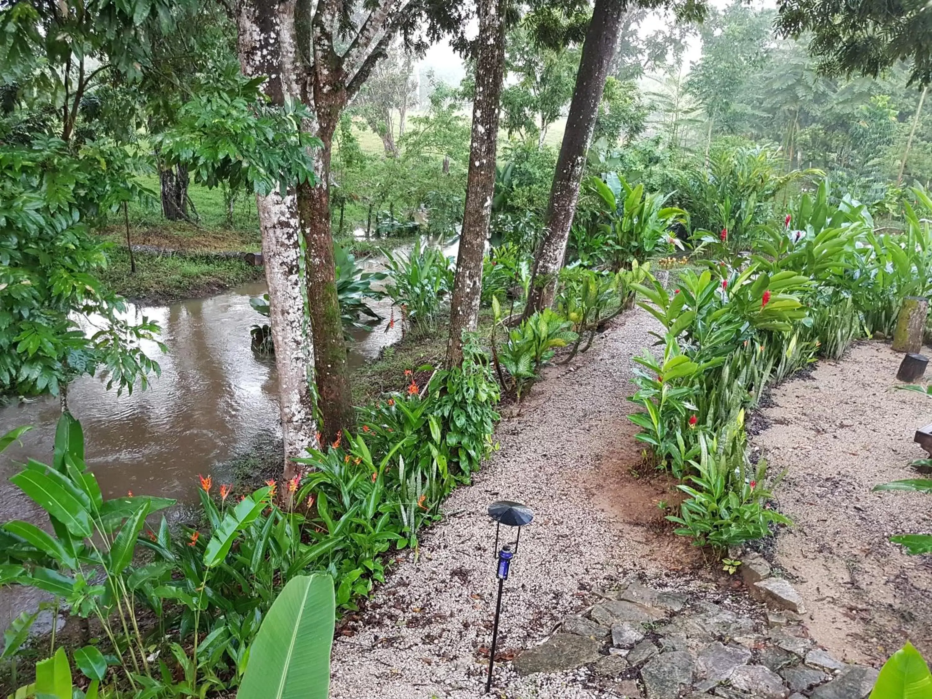 Garden in Auto Hotel Paraíso Inn