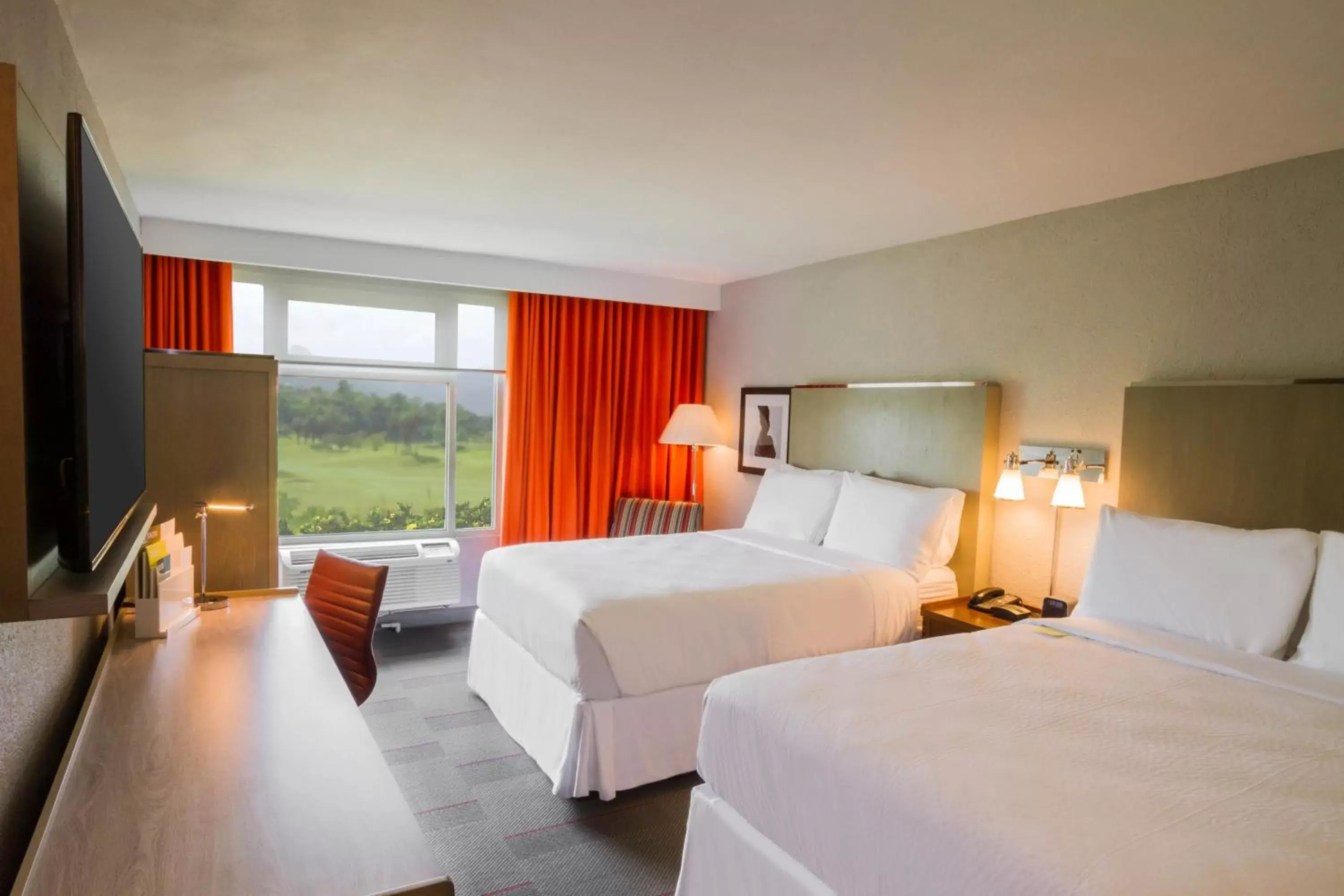 Photo of the whole room, Bed in Four Points by Sheraton Caguas Real