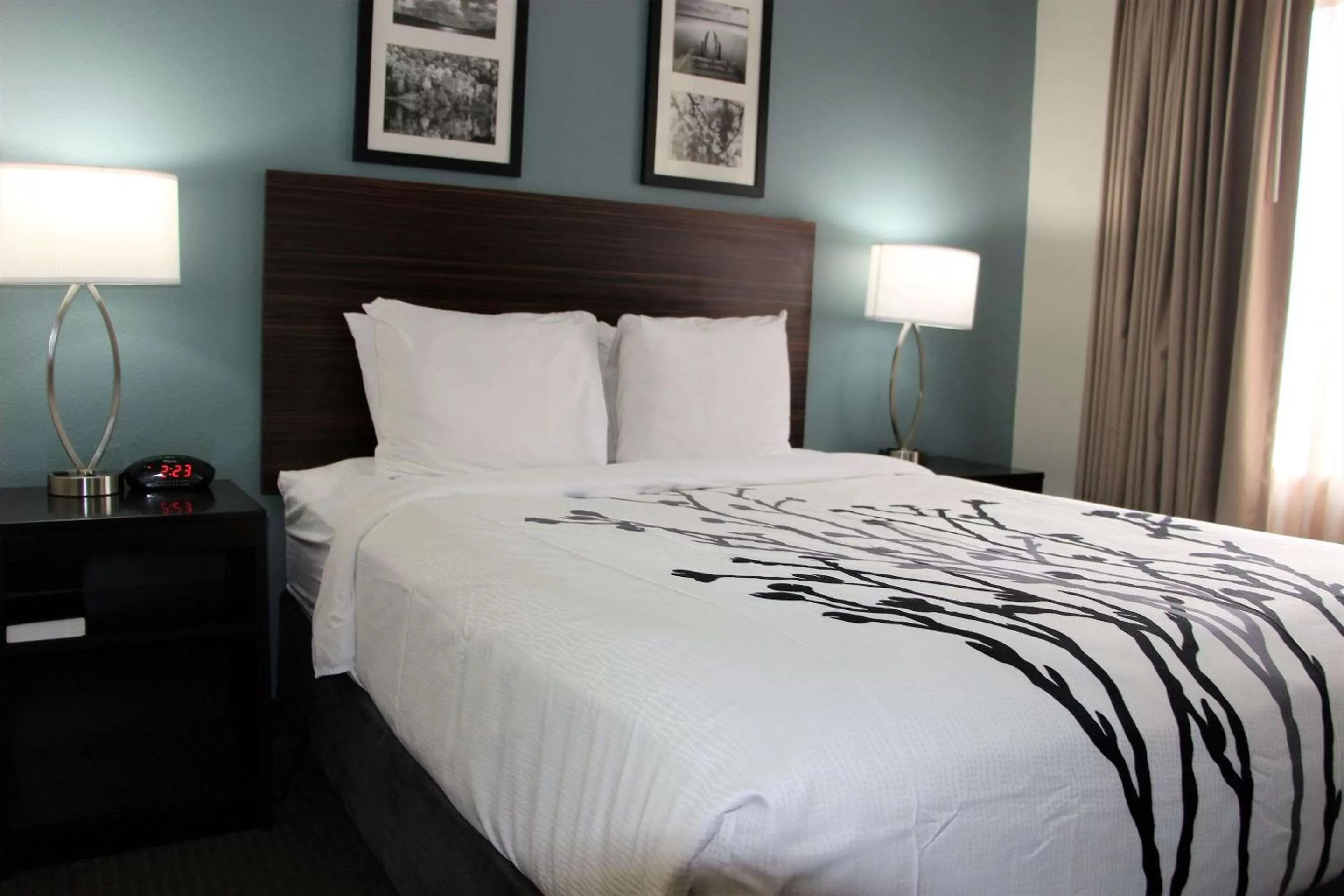 Photo of the whole room, Bed in Sleep Inn Chattanooga Hamilton Place