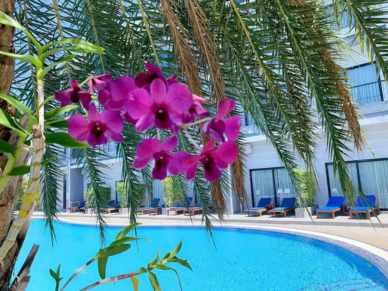 Pool view in KEP BAY HOTEL & RESORT Pool view in KEP BAY HOTEL & RESORT