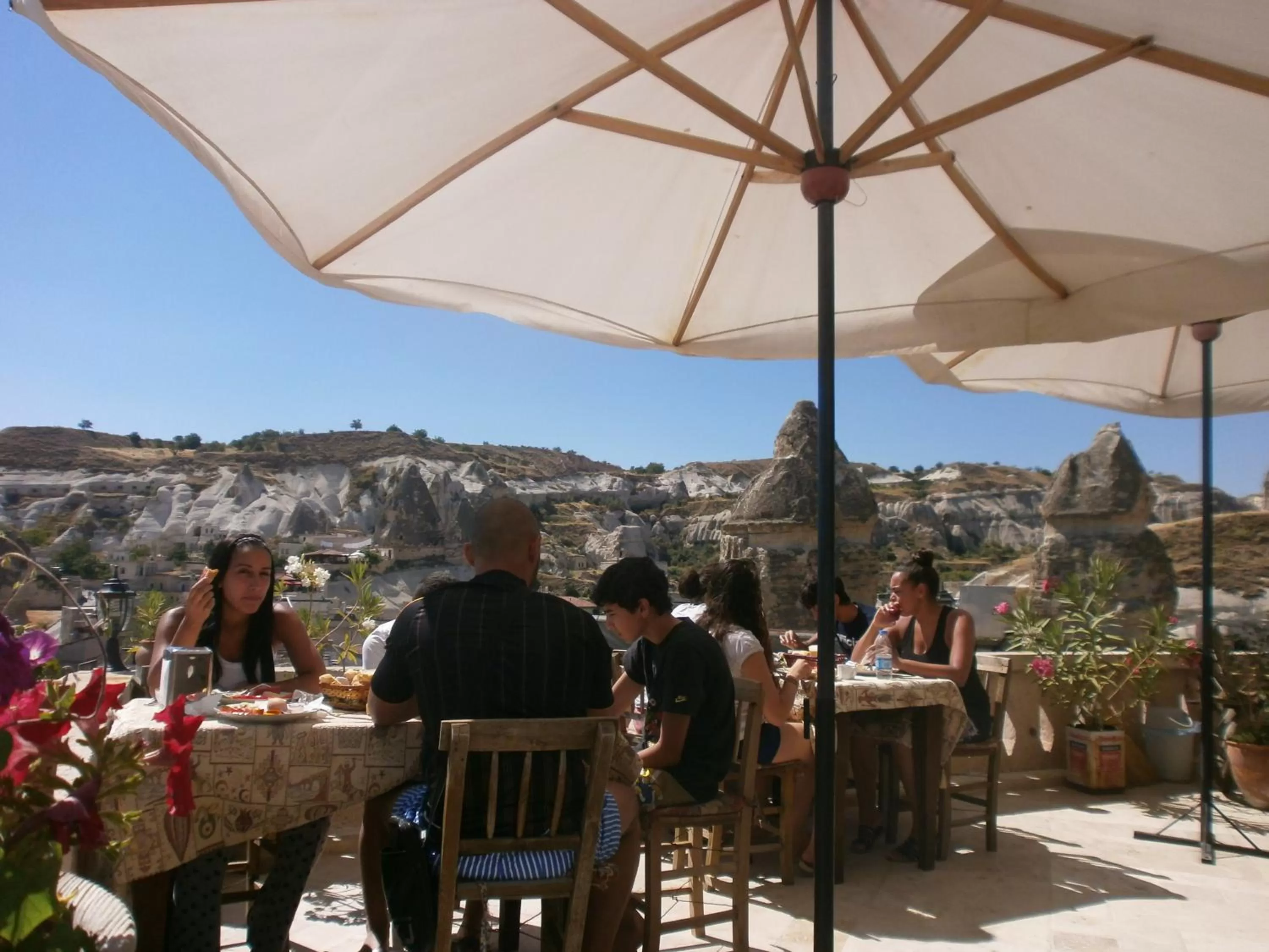 Garden in Kookaburra Hotel