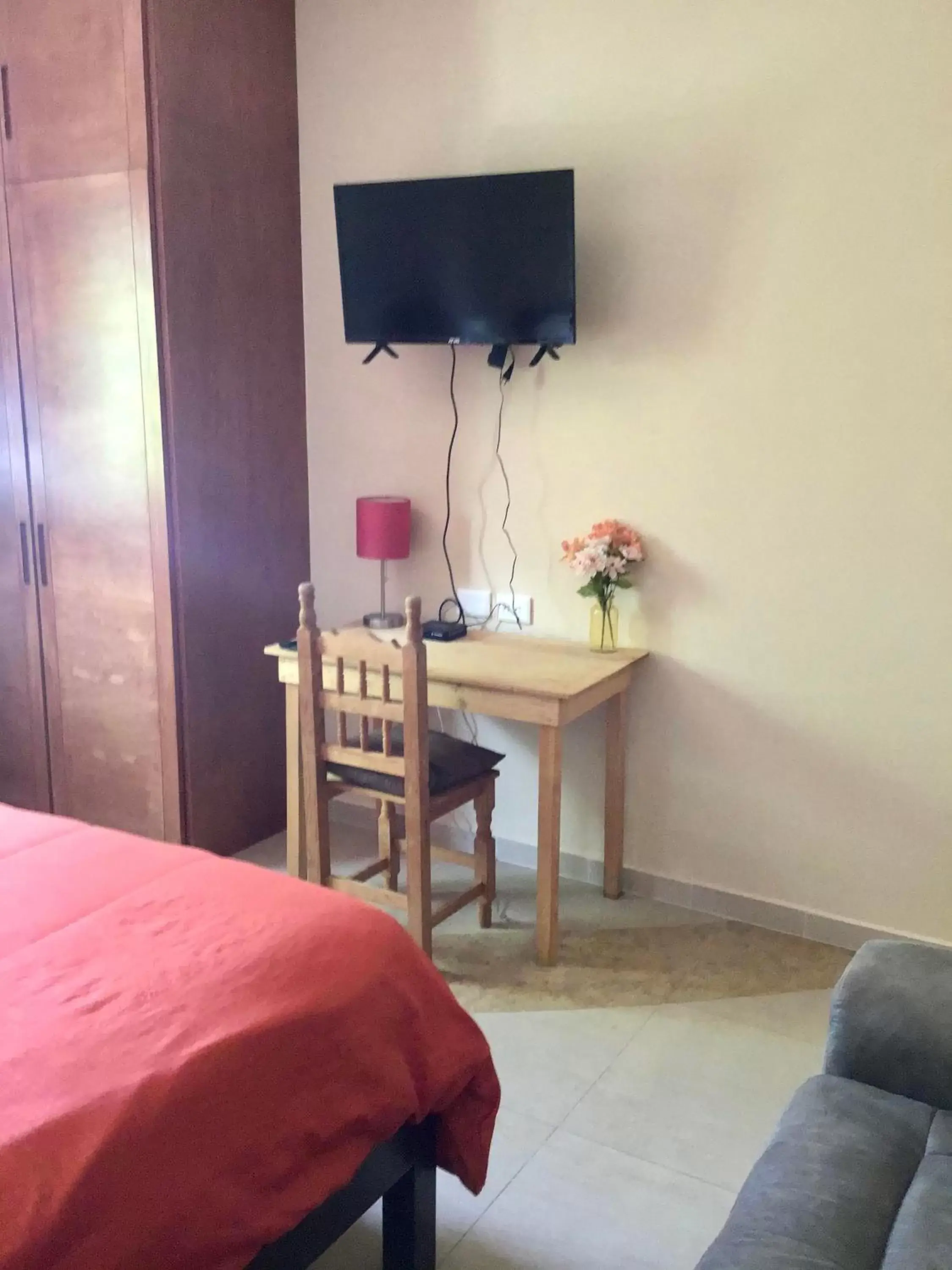 TV and multimedia, TV/Entertainment Center in Bed and Breakfast Pecarí