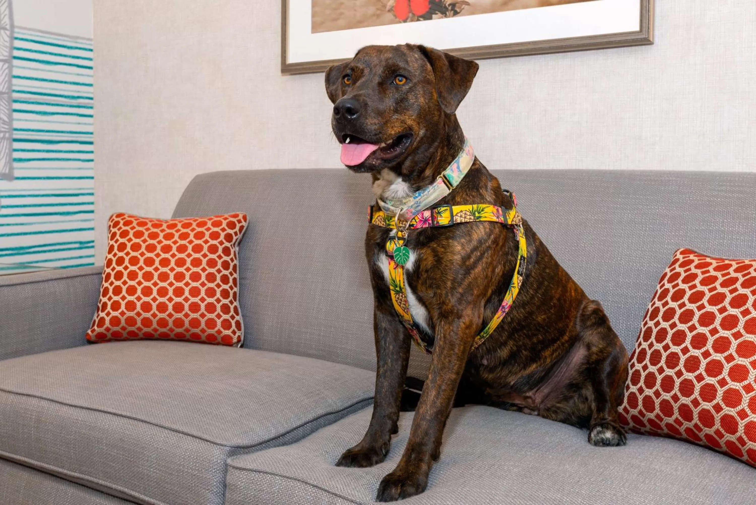 Property building in Hampton Inn Buffalo-Williamsville