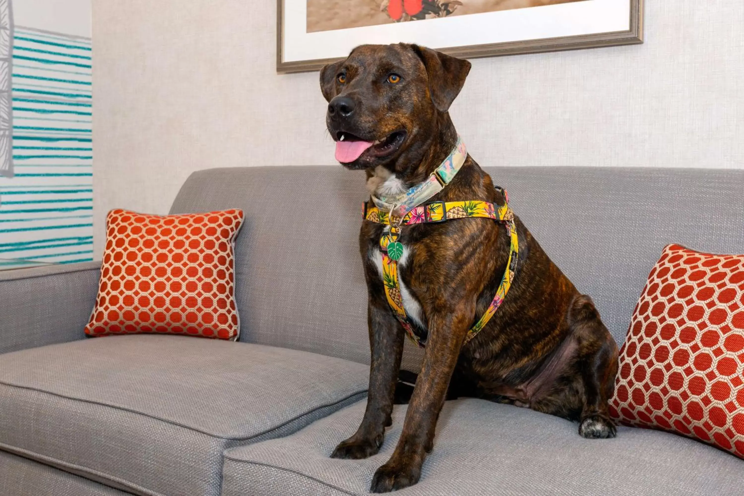 Property building in Hampton Inn Buffalo-Williamsville Property building in Hampton Inn Buffalo-Williamsville