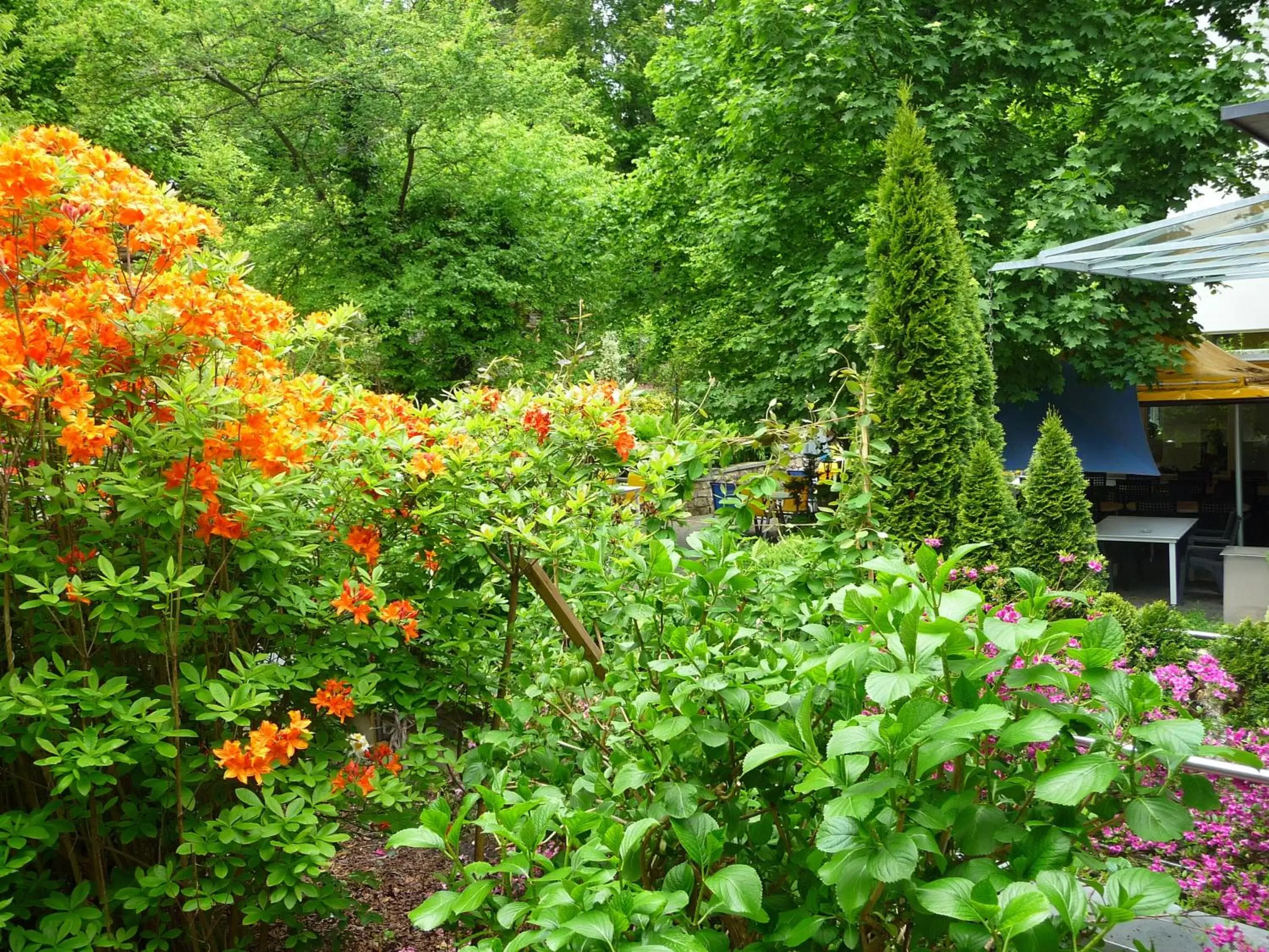 Garden in Hotel Promenade