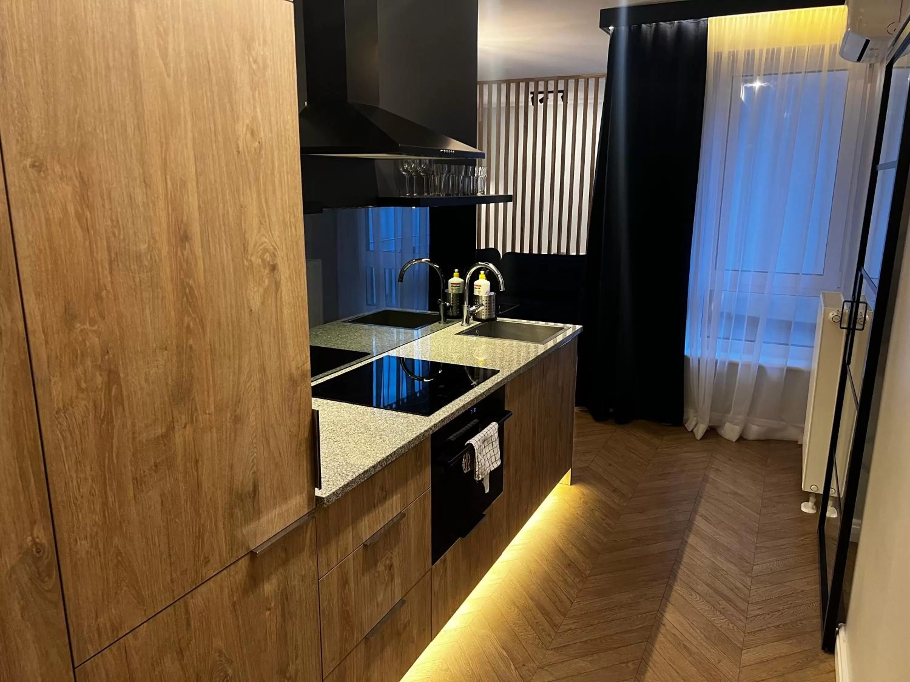 Kitchen or kitchenette in Silesia Aparthotel