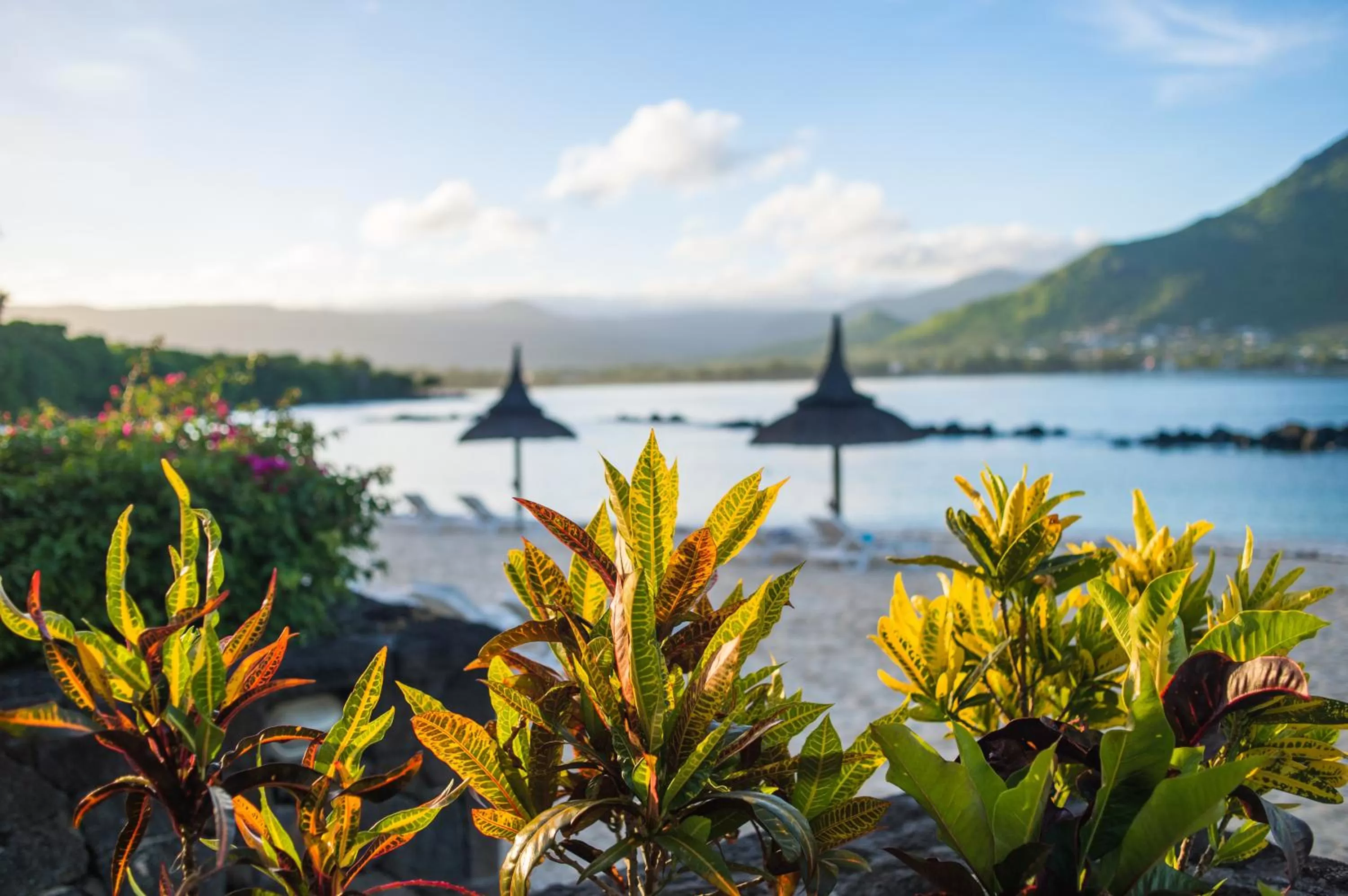 Garden in Sands Suites Resort & Spa