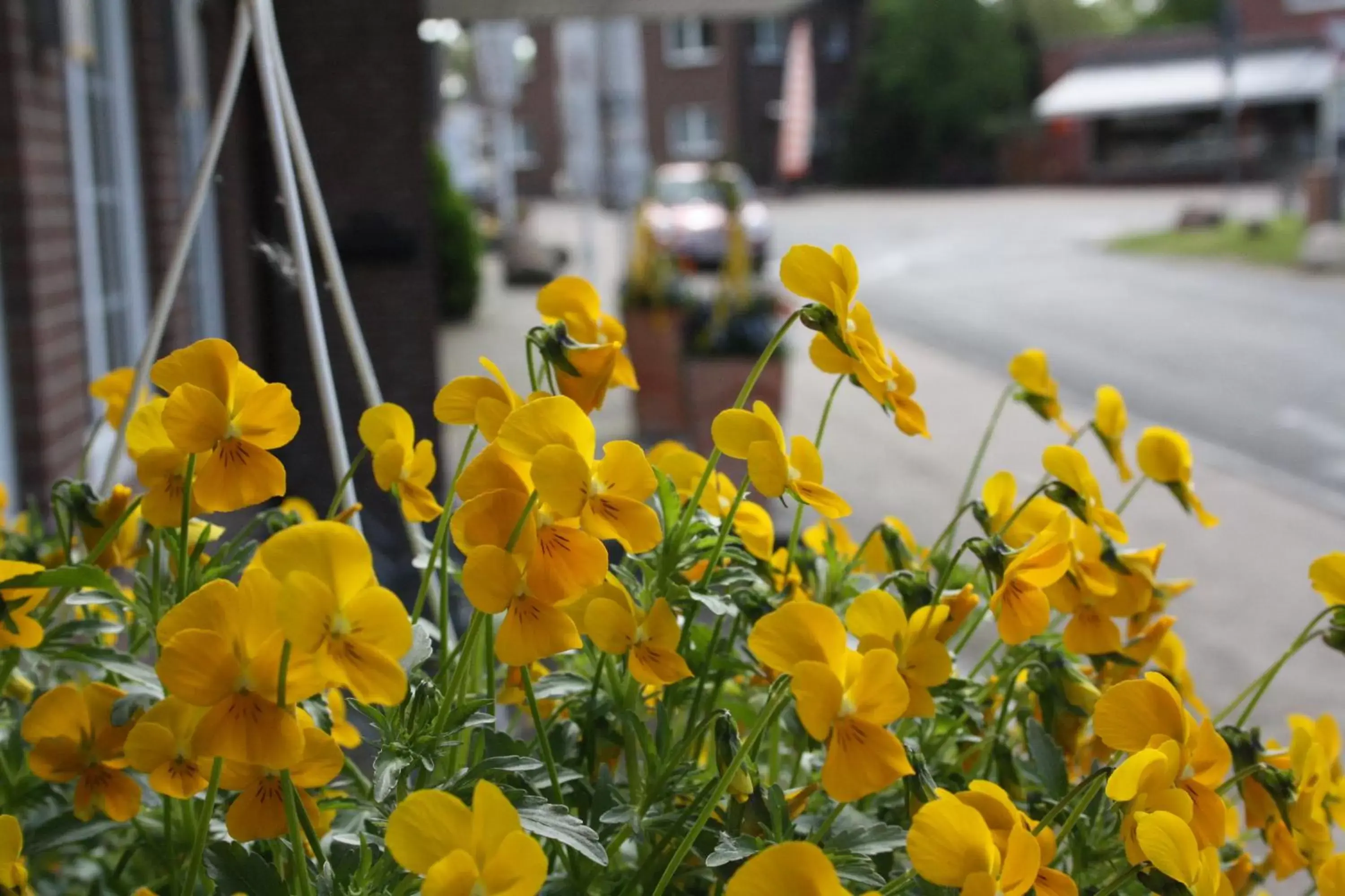 Exclusive Double Room in Hotel König-Stuben Exclusive Double Room in Hotel König-Stuben