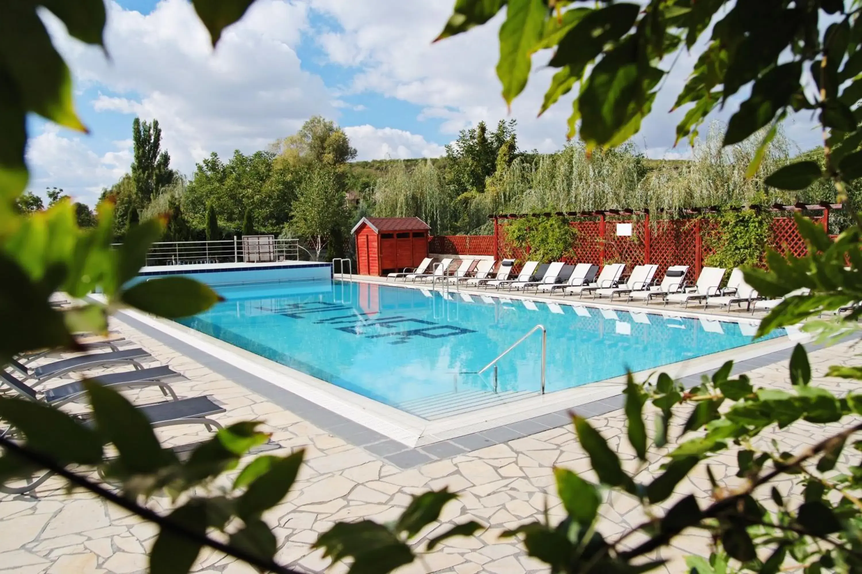 Swimming Pool in Silver Residence