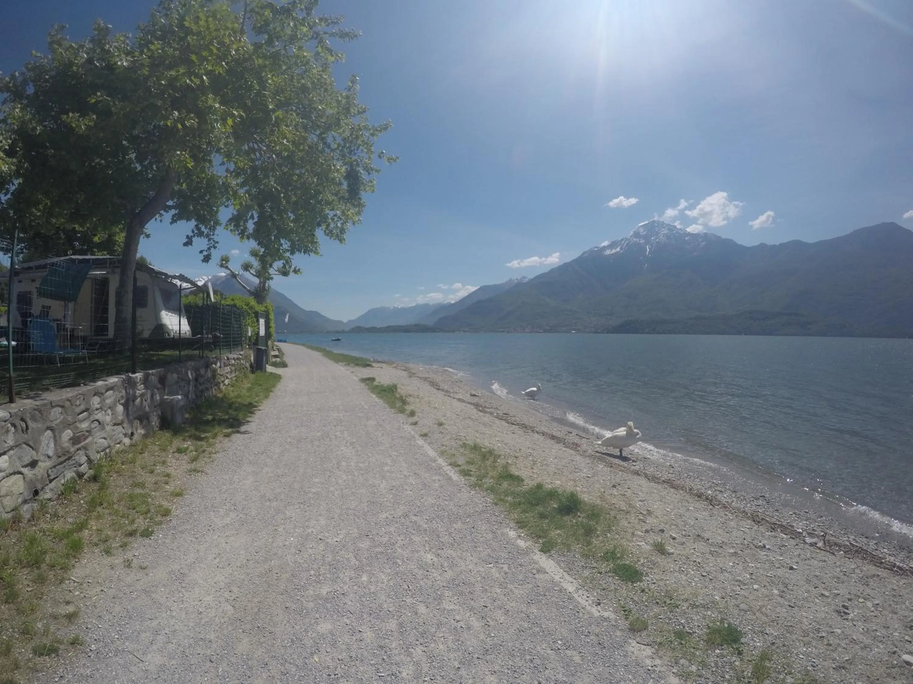 Spring in Hotel Vischi