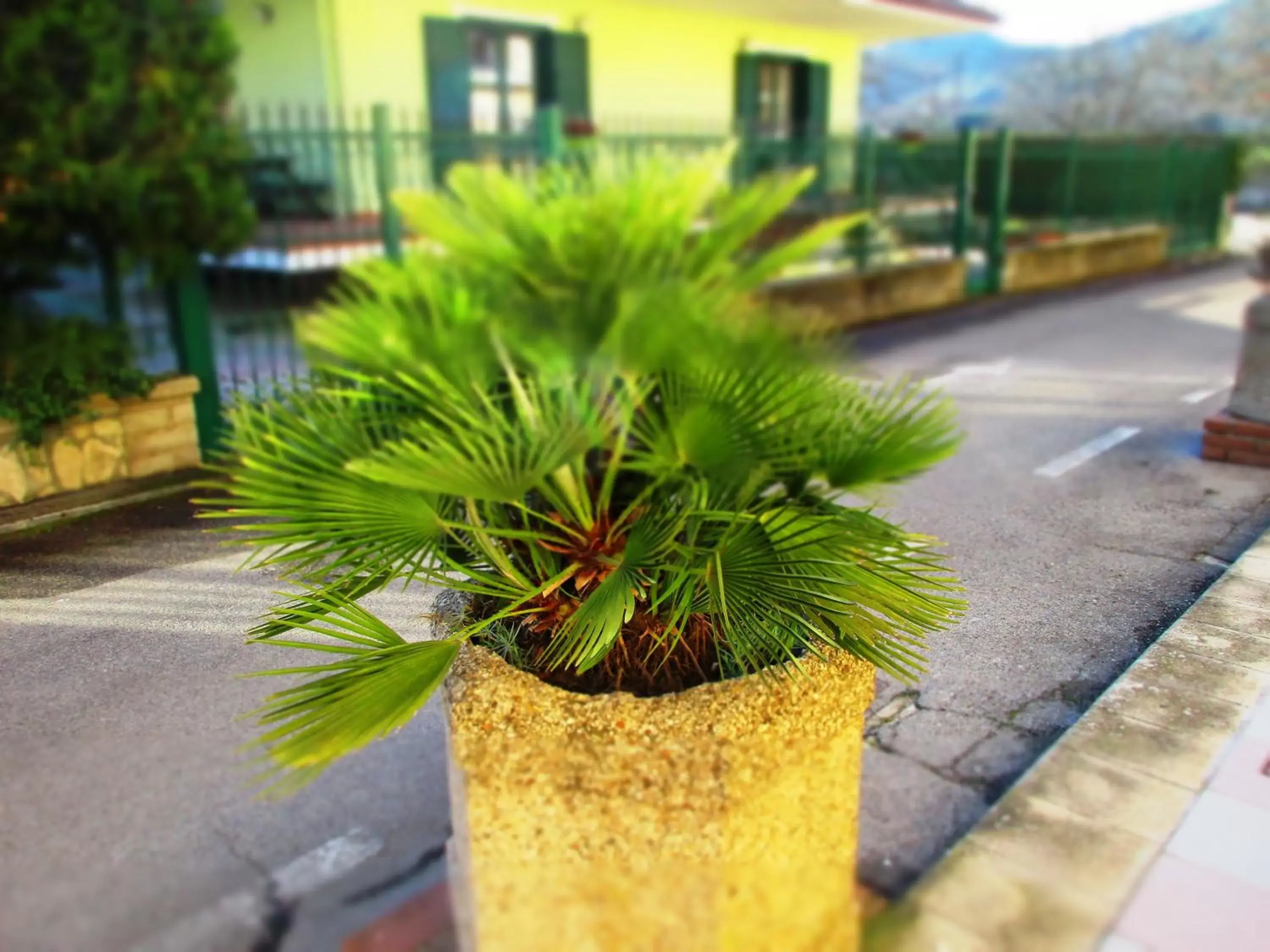 Decorative detail in Hotel Rosso Di Sera