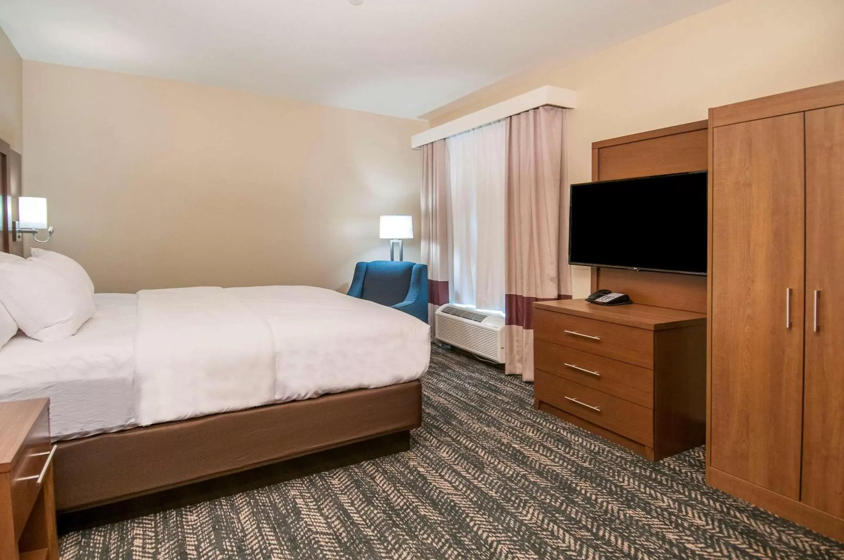 King Room - Non-Smoking in Comfort Inn & Suites Downtown near University